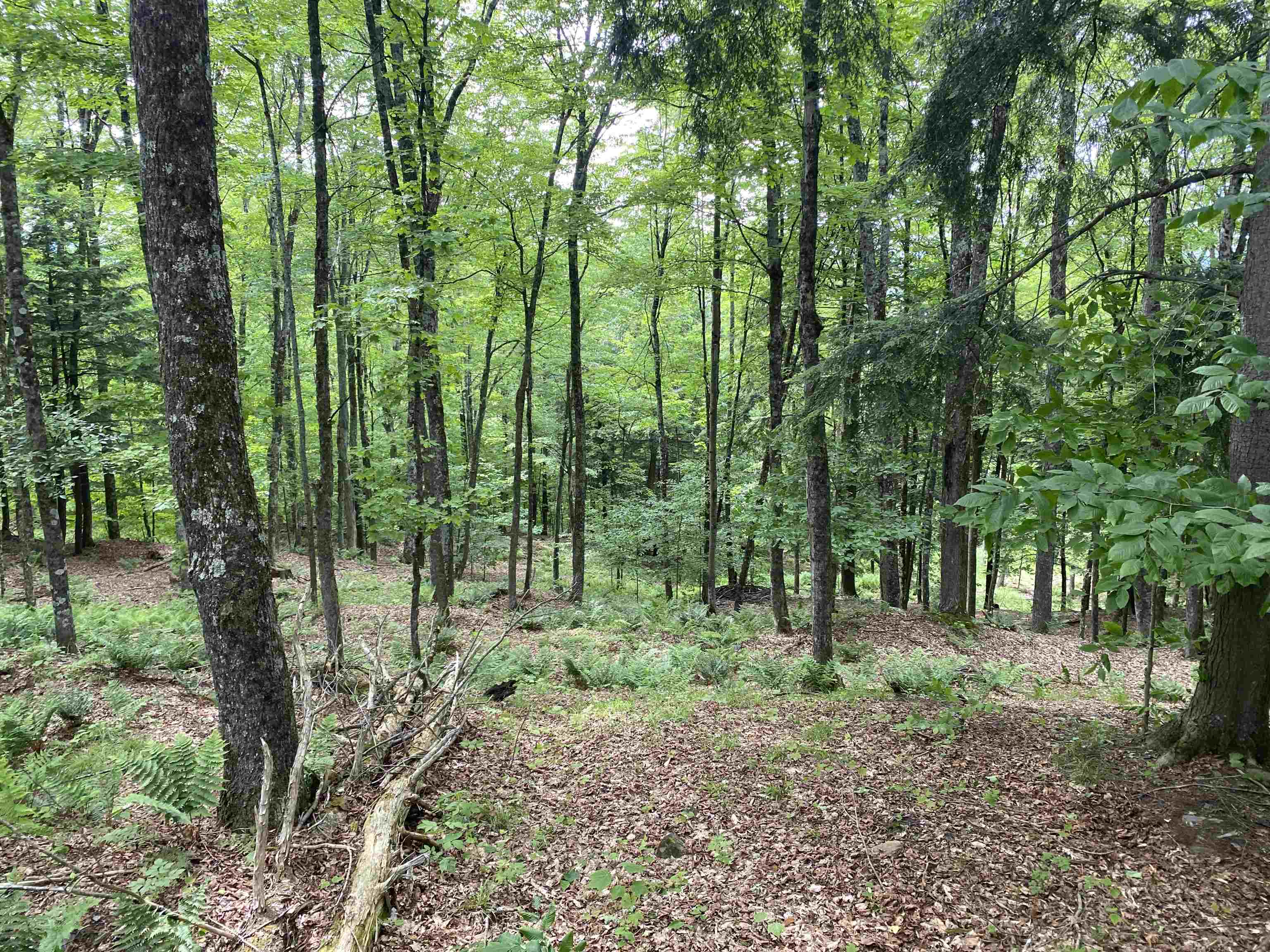 Homes for sale in Waterford, VT | 0 Simpson Brook Rd, Waterford, VT 05848 | MLS# 5048153