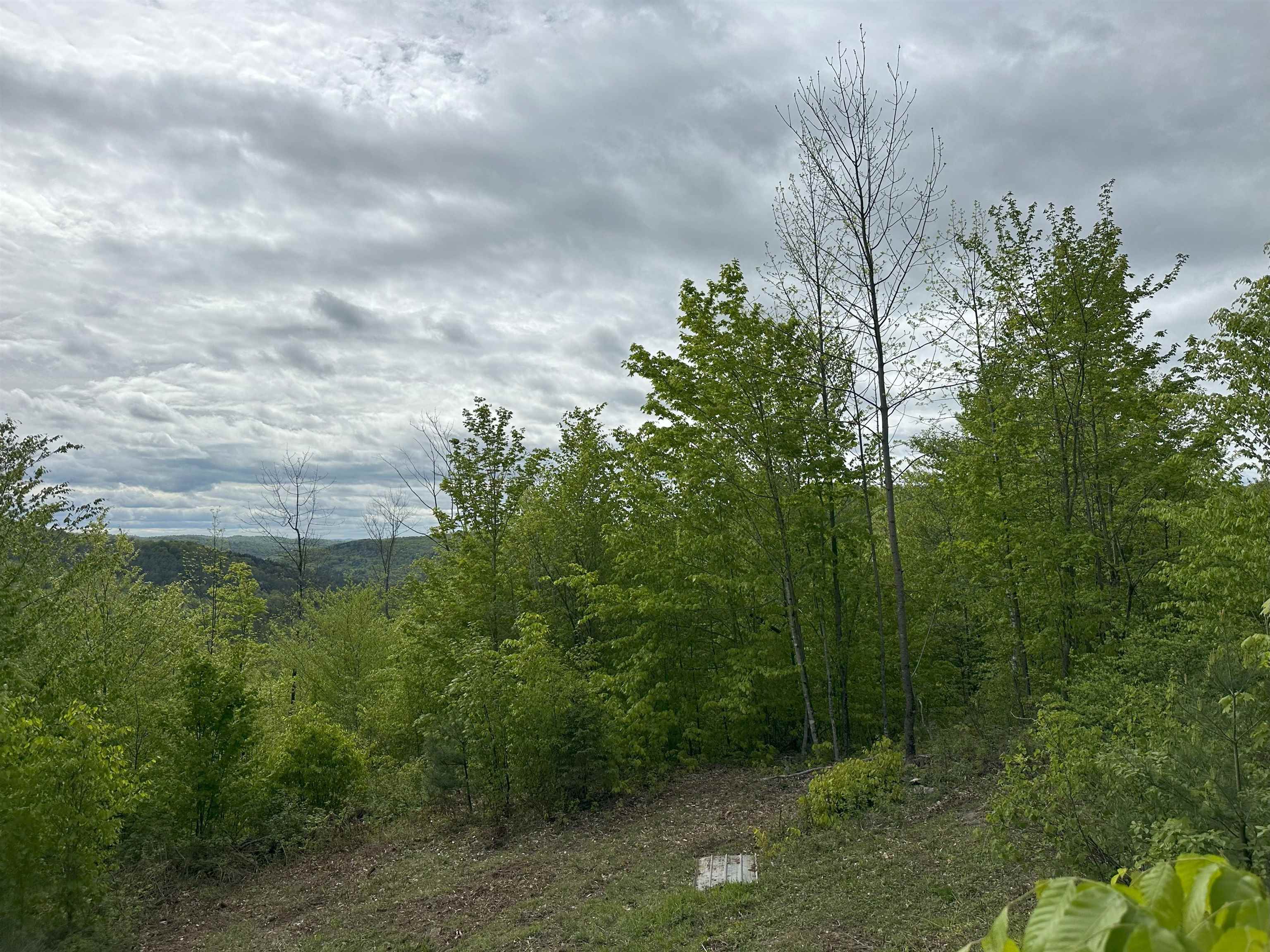 Homes for sale in Chelsea, VT | 00 Hall Rd, Chelsea, VT 05038 | MLS# 5048174