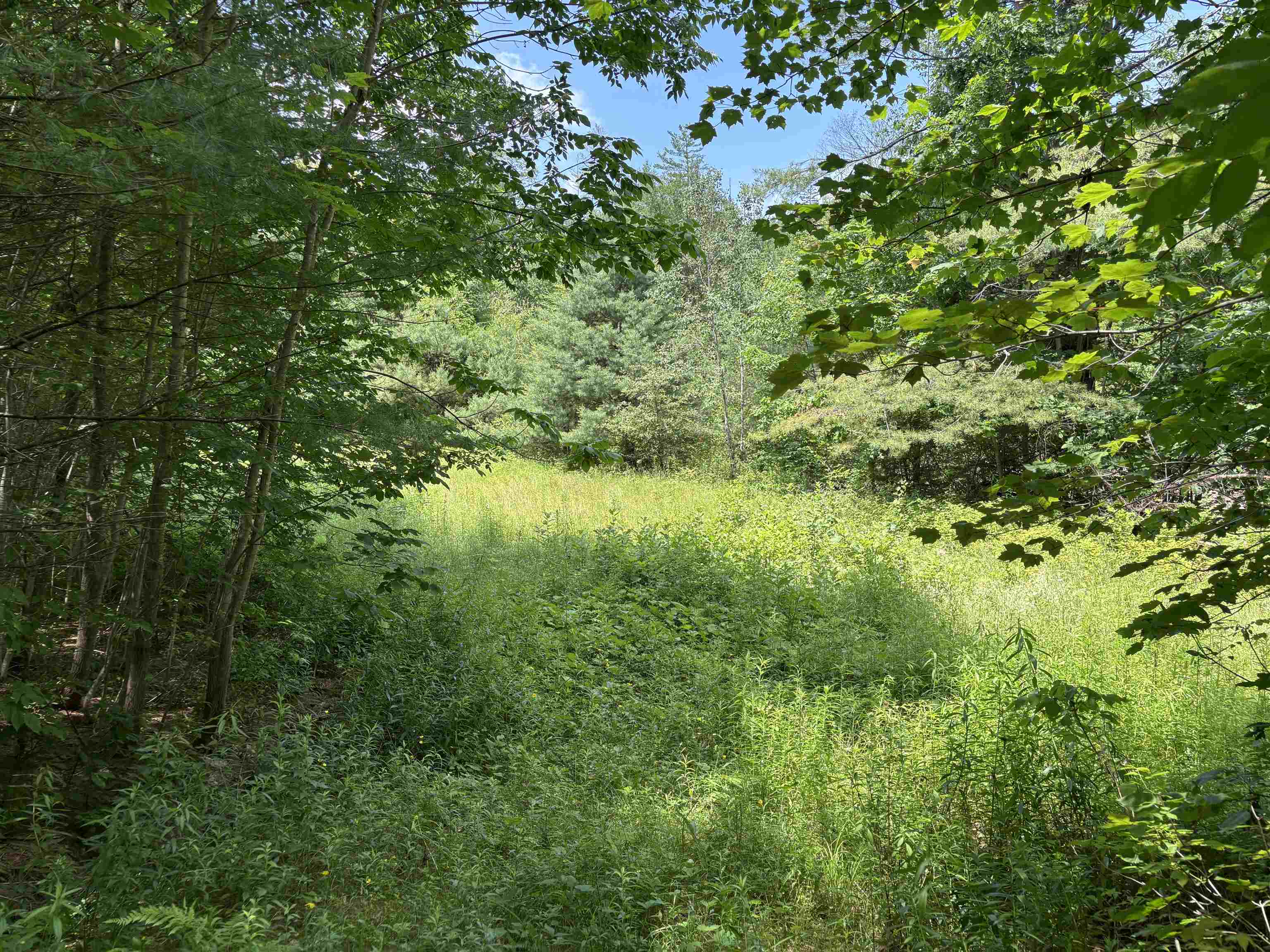 Homes for sale in Andover, VT | 00 Simonsville Rd, Andover, VT 05143 | MLS# 5048233