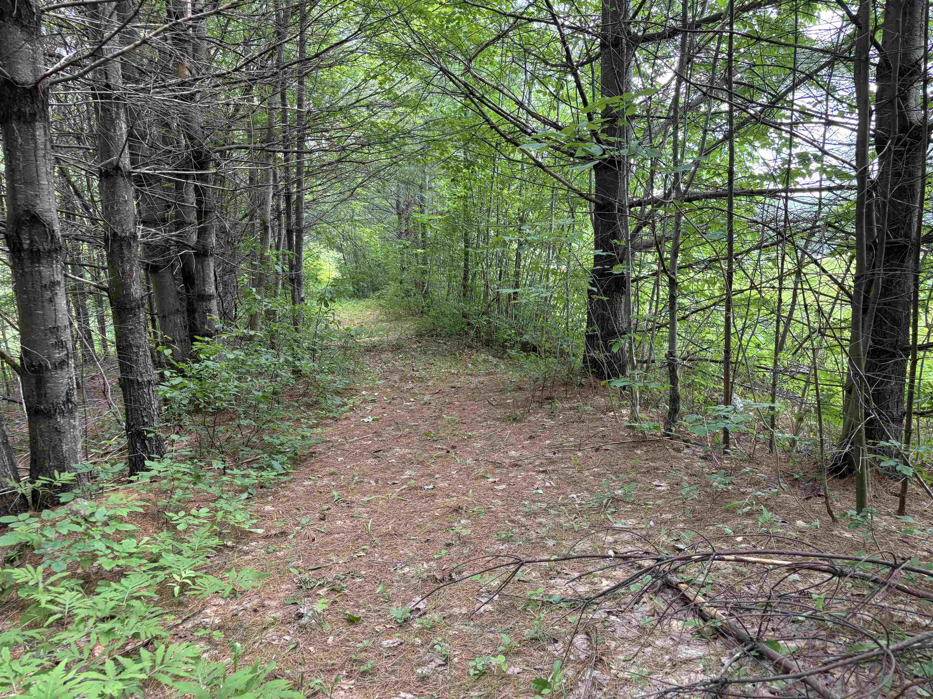 Homes for sale in Andover, VT | 00 Simonsville Rd, Andover, VT 05143 | MLS# 5048233