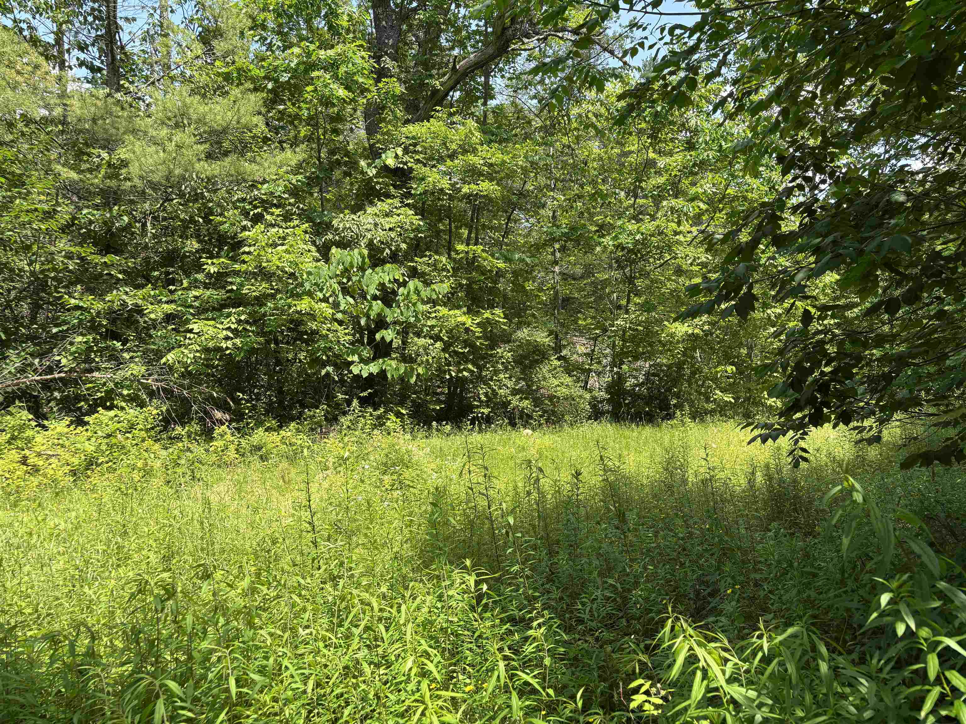 Homes for sale in Andover, VT | 00 Simonsville Rd, Andover, VT 05143 | MLS# 5048233