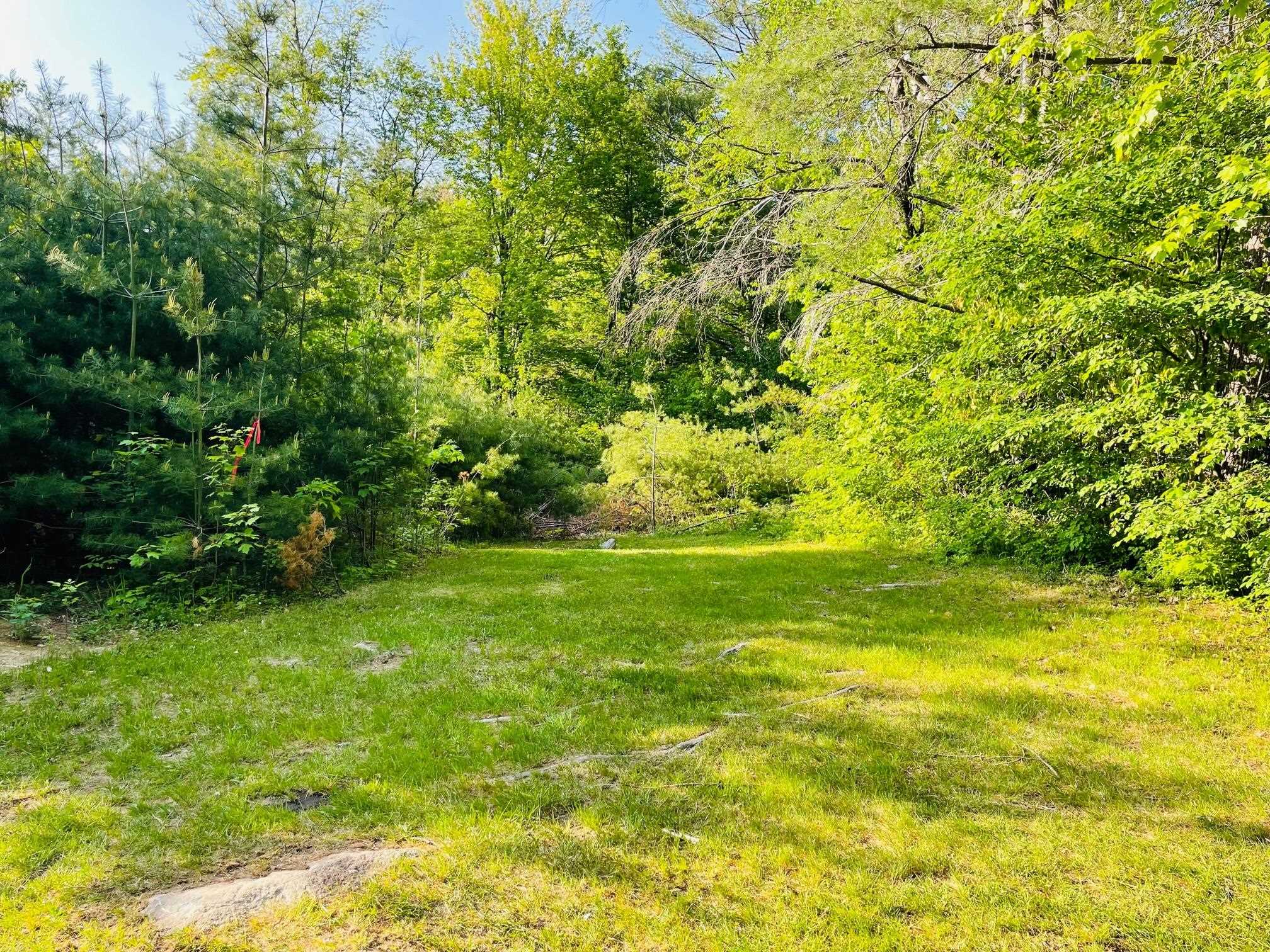 Homes for sale in Jamaica, VT | 4769 Pikes Falls Rd, Jamaica, VT 05143 | MLS# 5048250