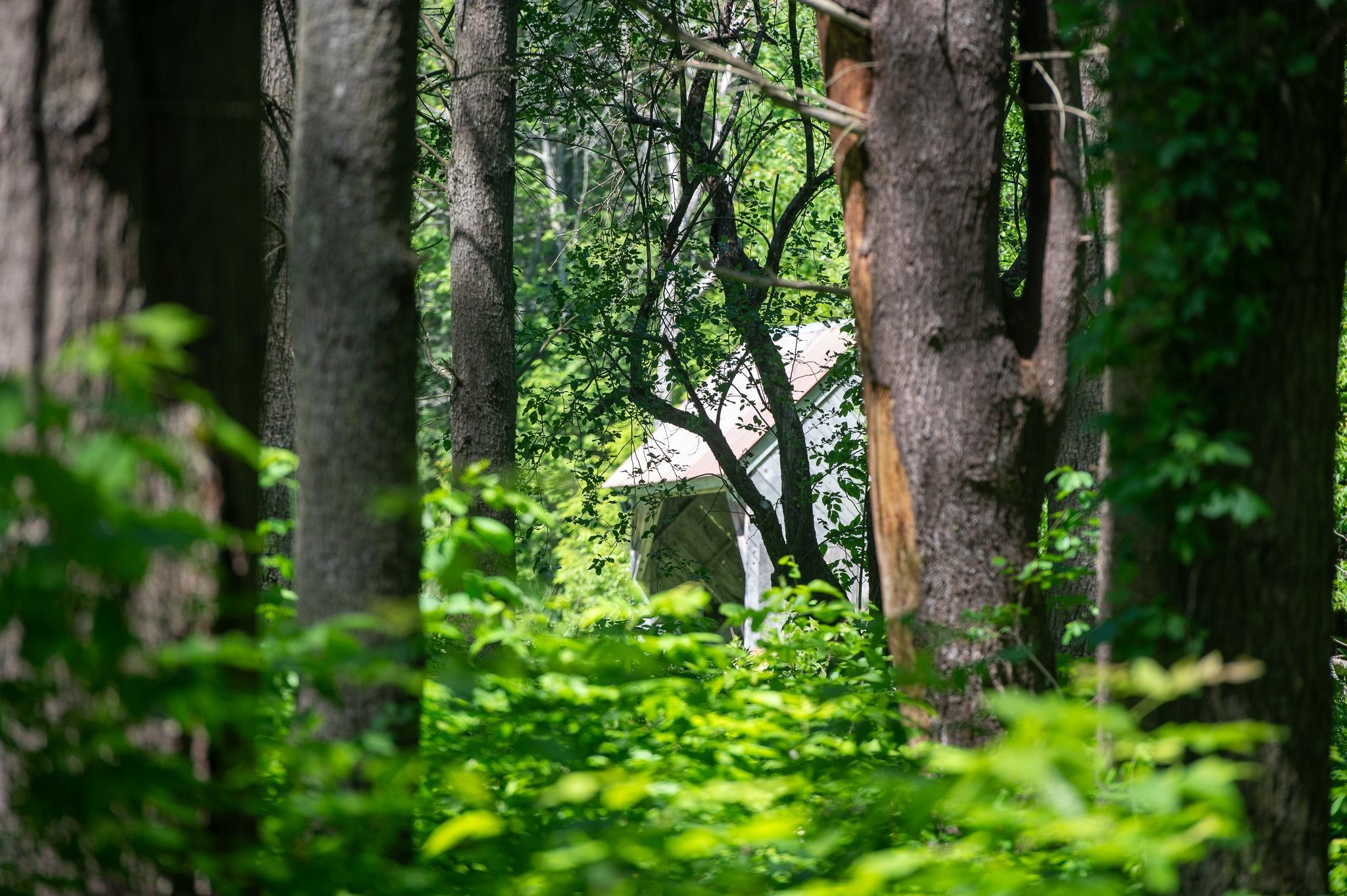 Homes for sale in Londonderry, VT | 340 Melendy Hill Rd, Londonderry, VT 05155 | MLS# 5048489