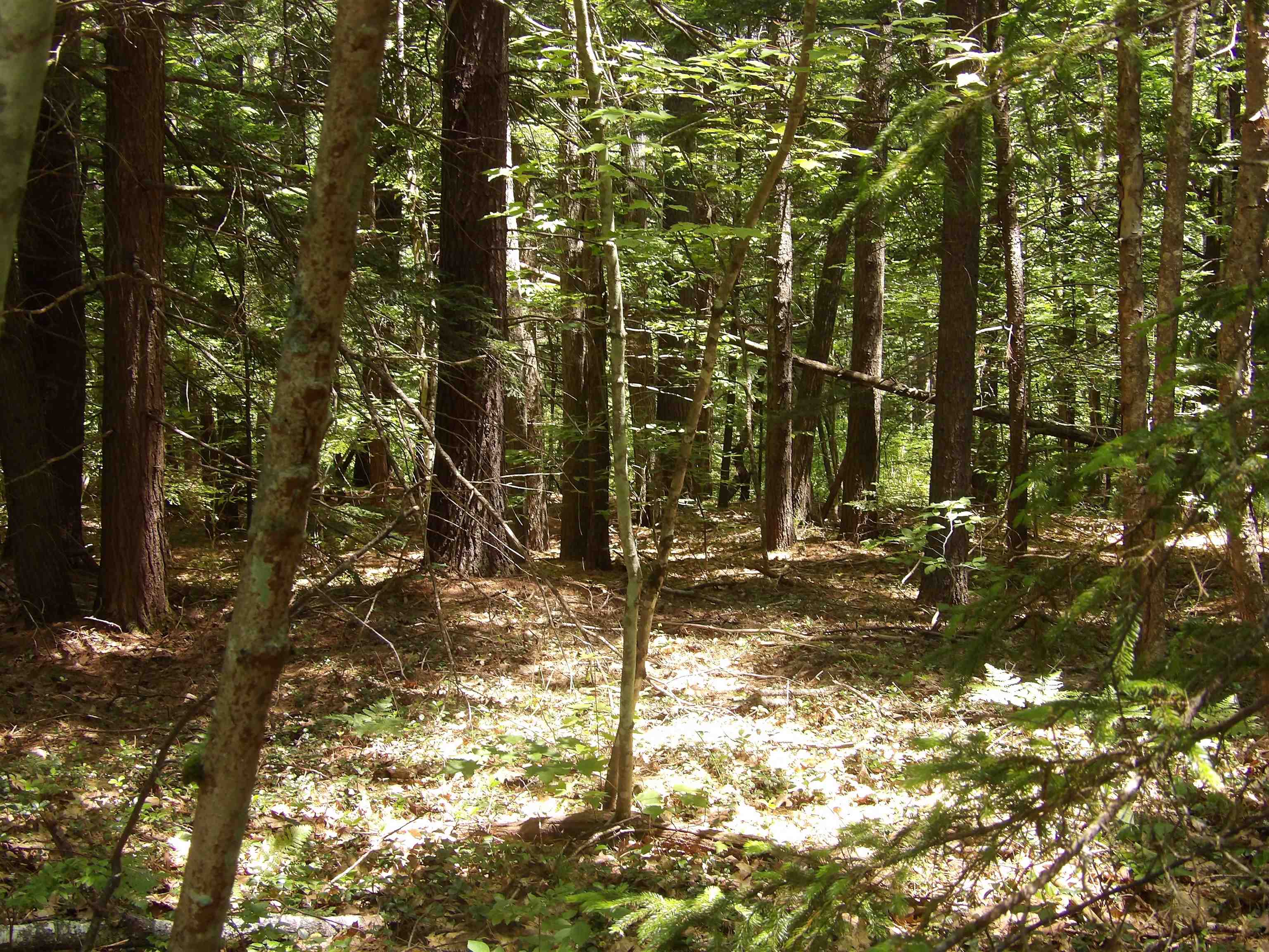 Homes for sale in Sanbornton, NH | 00 Hueber Dr, Sanbornton, NH 03269 | MLS# 5048531