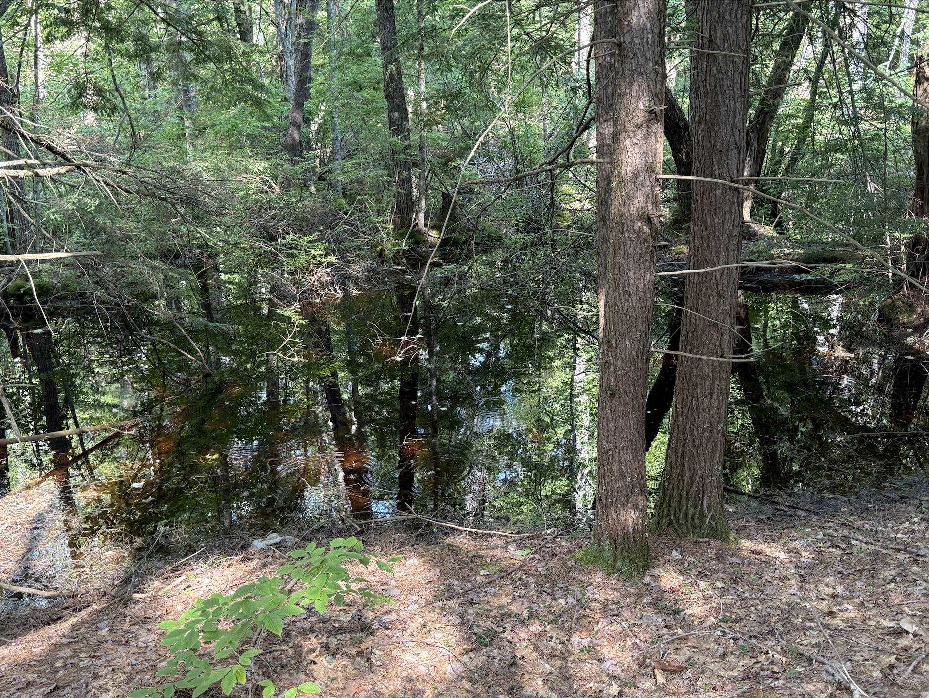 MLS #5048531 image #8