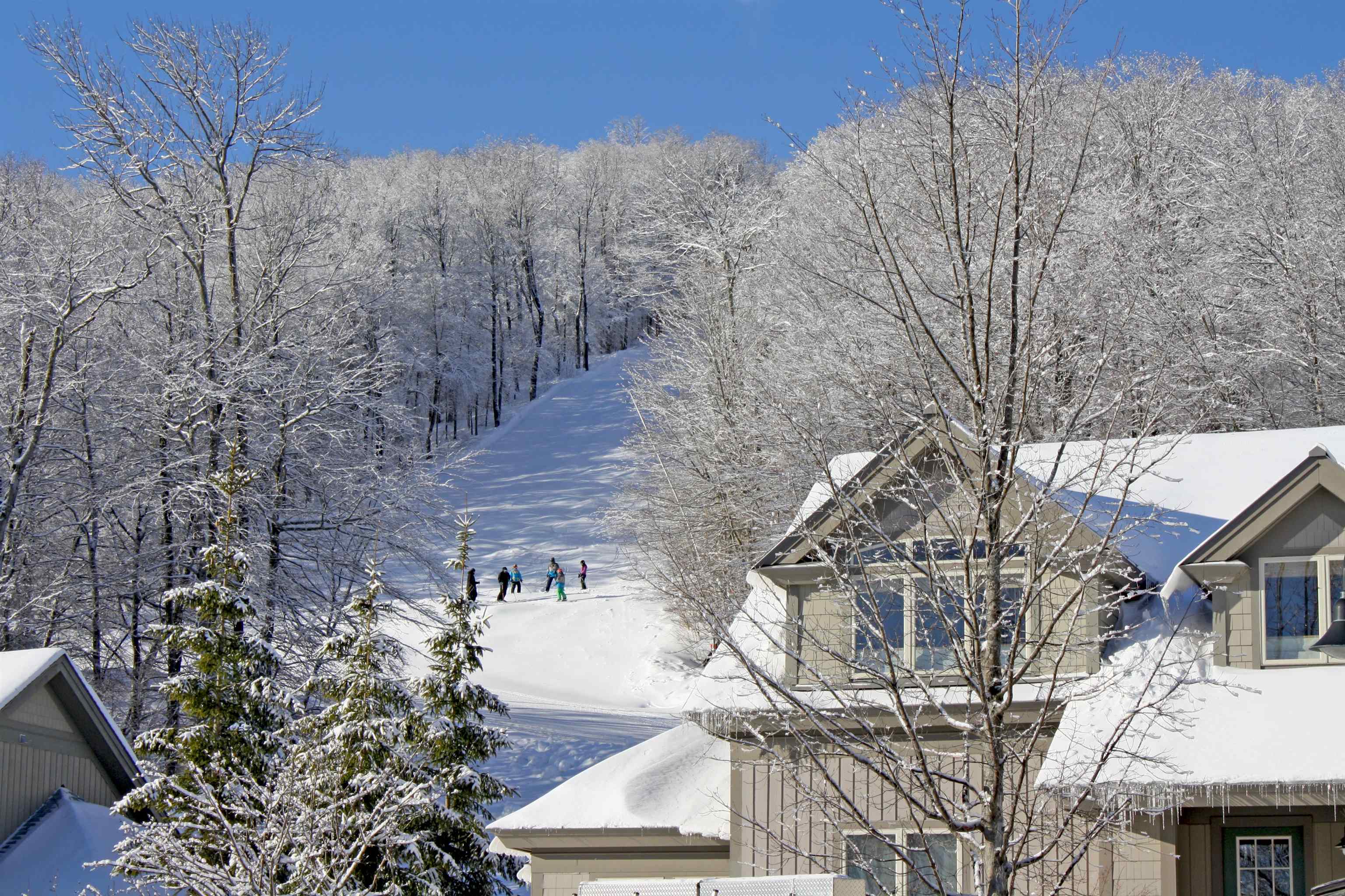 The Plunge & Village Run ski trails bring you right to A bld.. 23534079