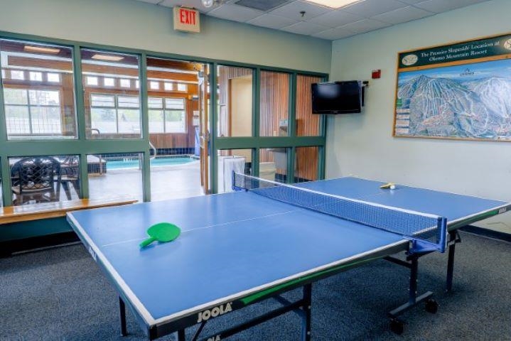 Ping pong room with TV 23534013