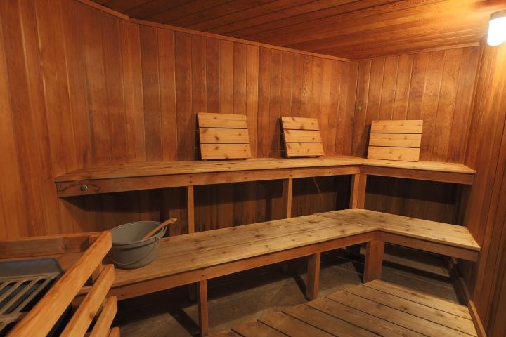 Large sauna 23534014