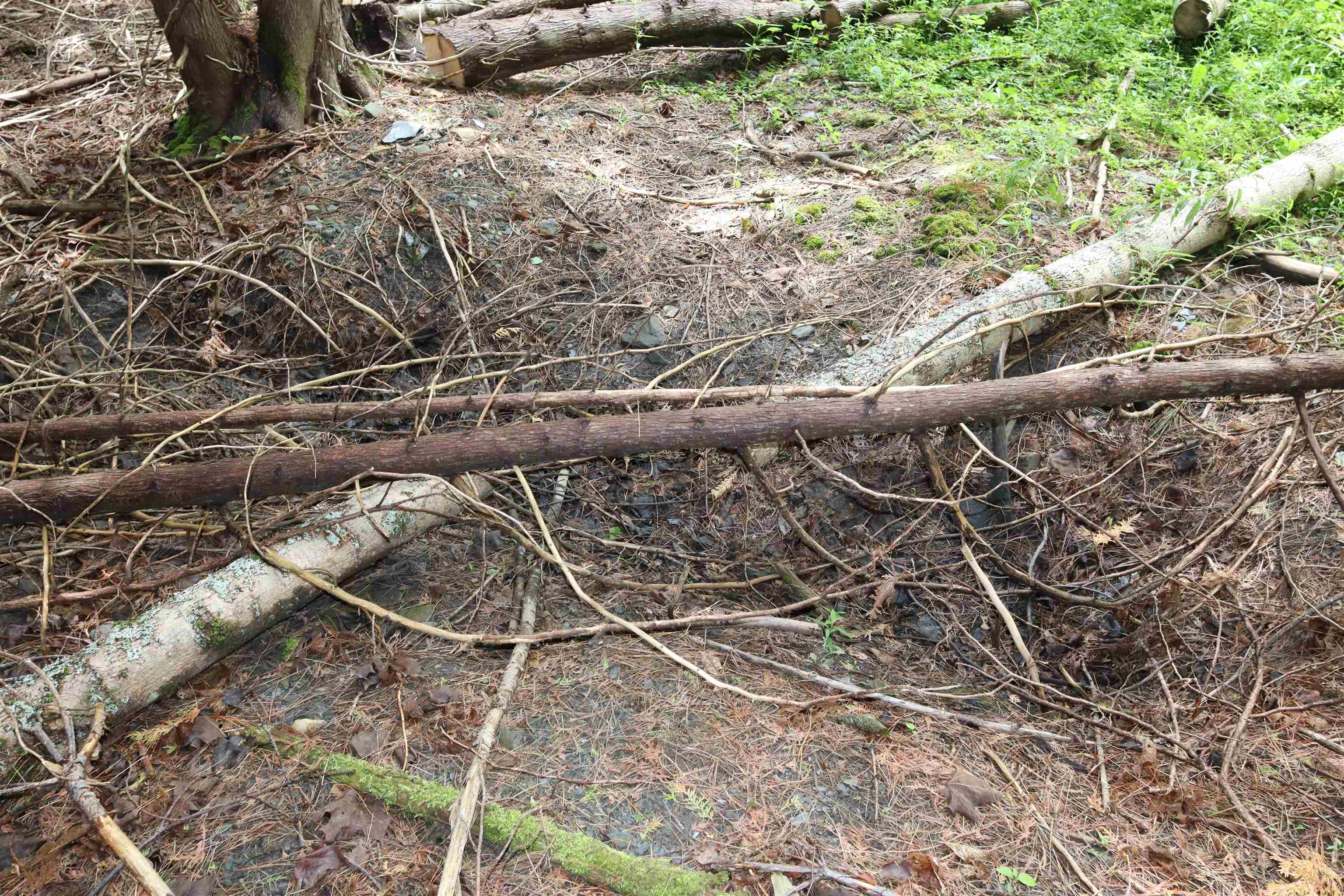 Homes for sale in Barre Town, VT | 00 Richardson Rd, Barre Town, VT 05641 | MLS# 5048759