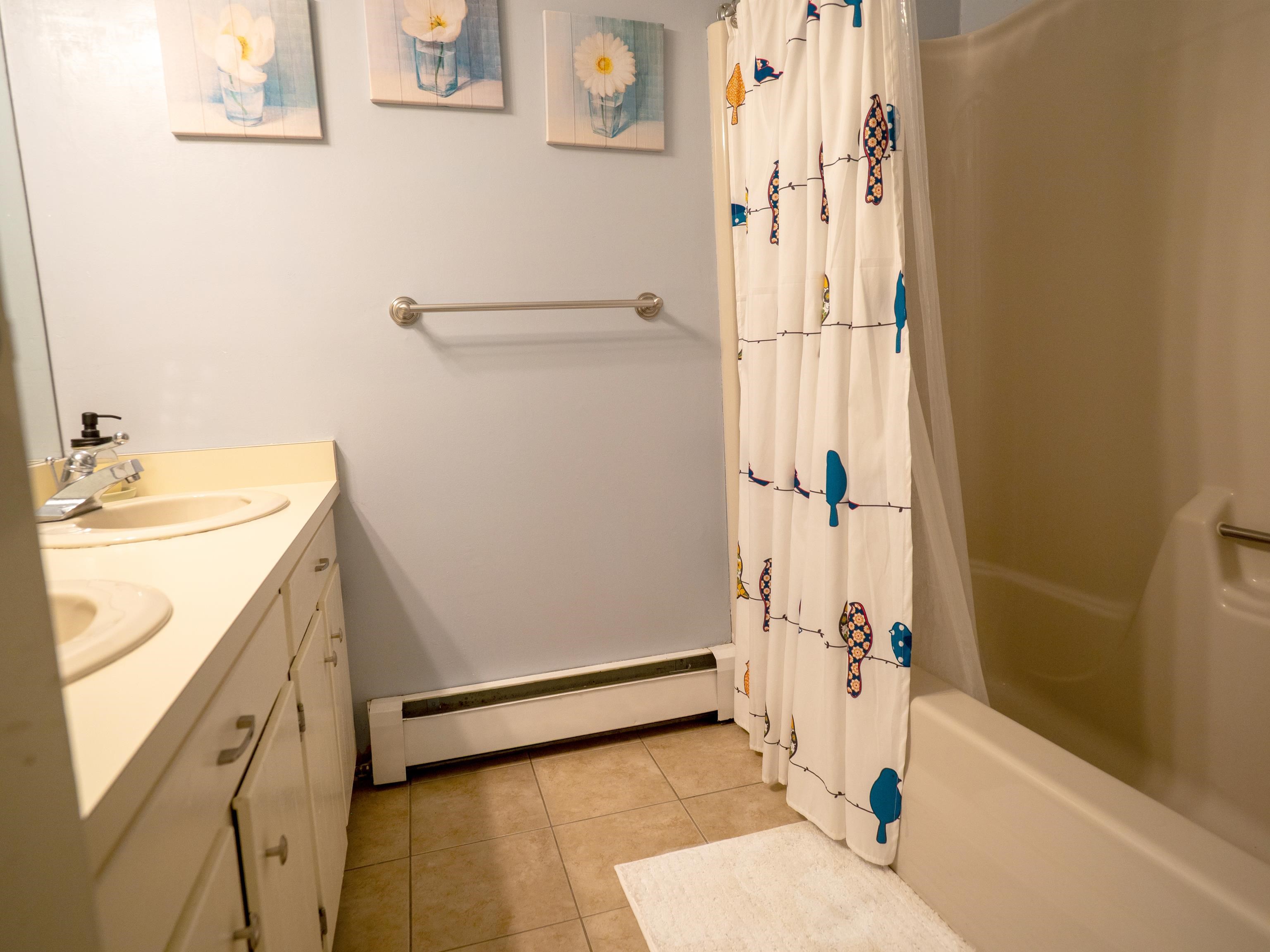 Lower Level hall bath