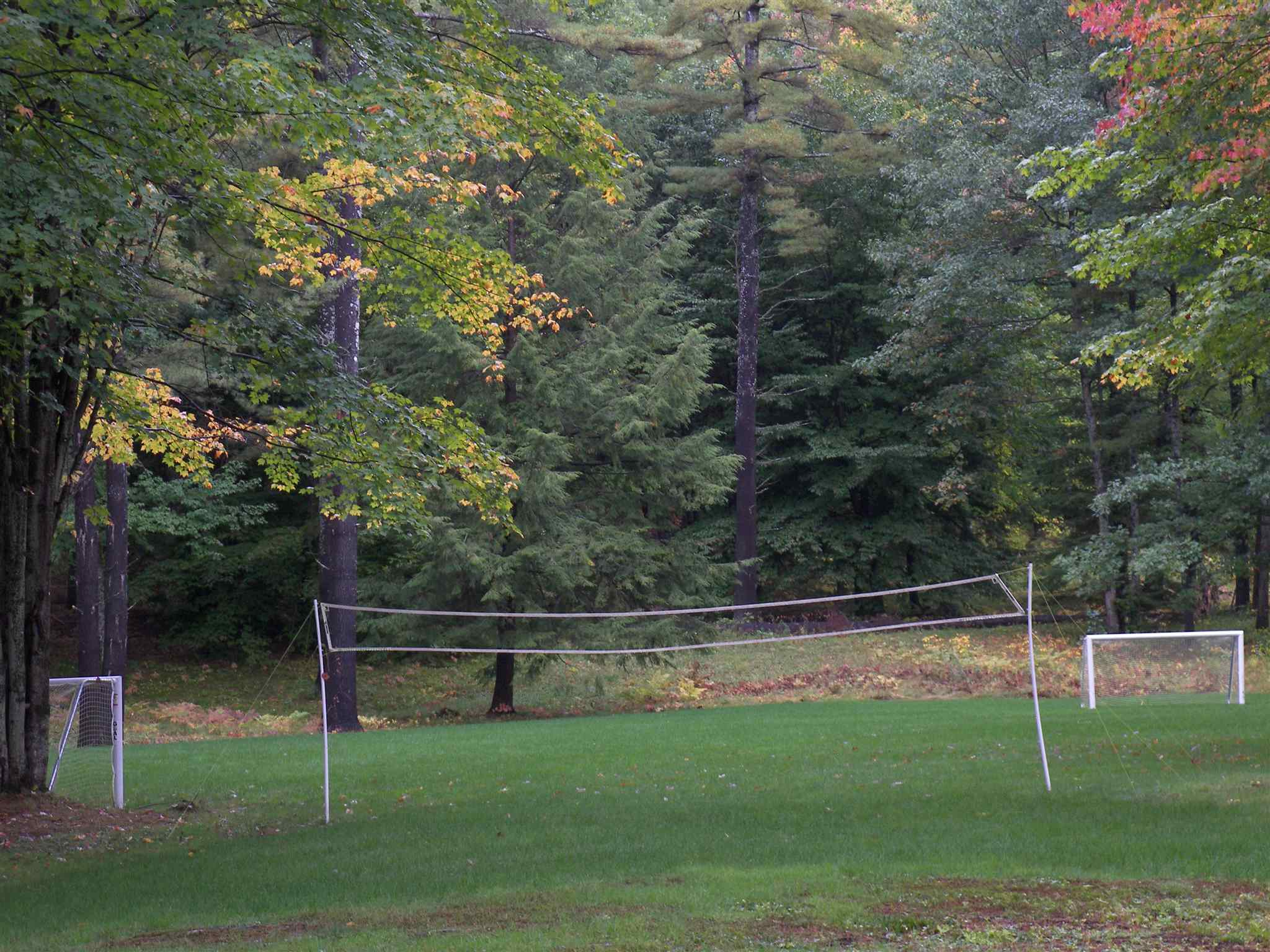 MLS #5049078 image #48