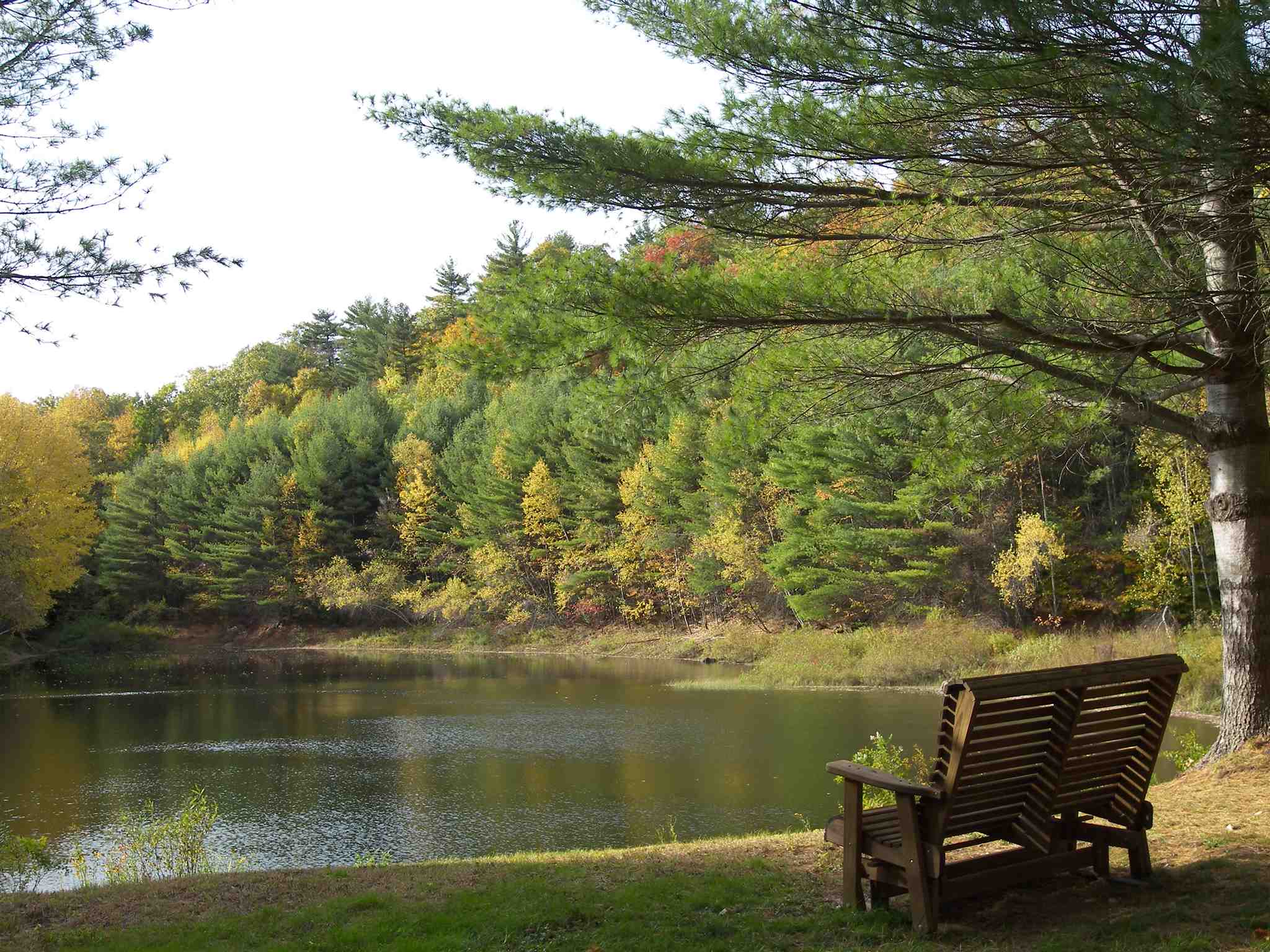 MLS #5049078 image #50