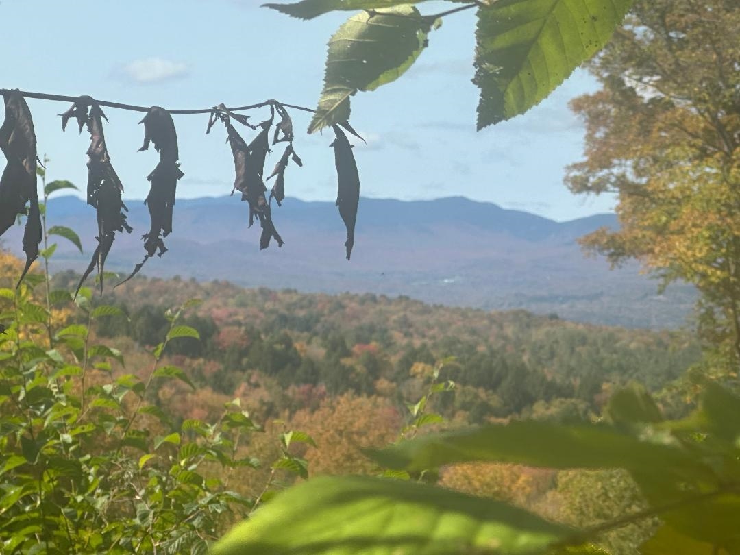 Homes for sale in Wolcott, VT | 0 Brookview Ln, Wolcott, VT 05680 | MLS# 5049092