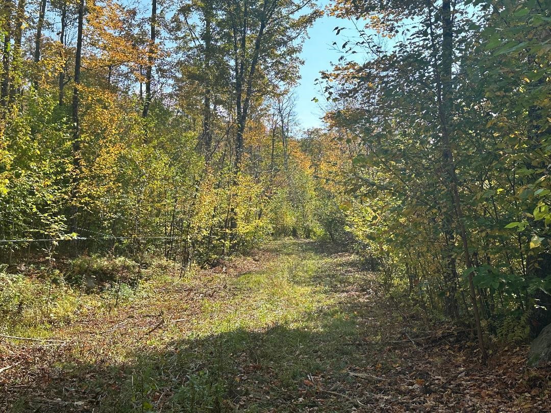 Homes for sale in Wolcott, VT | 0 Brookview Ln, Wolcott, VT 05680 | MLS# 5049092