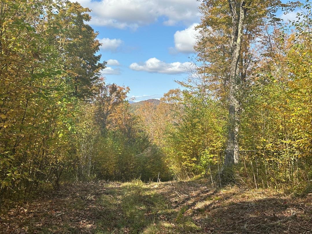 Homes for sale in Wolcott, VT | 0 Brookview Ln, Wolcott, VT 05680 | MLS# 5049092