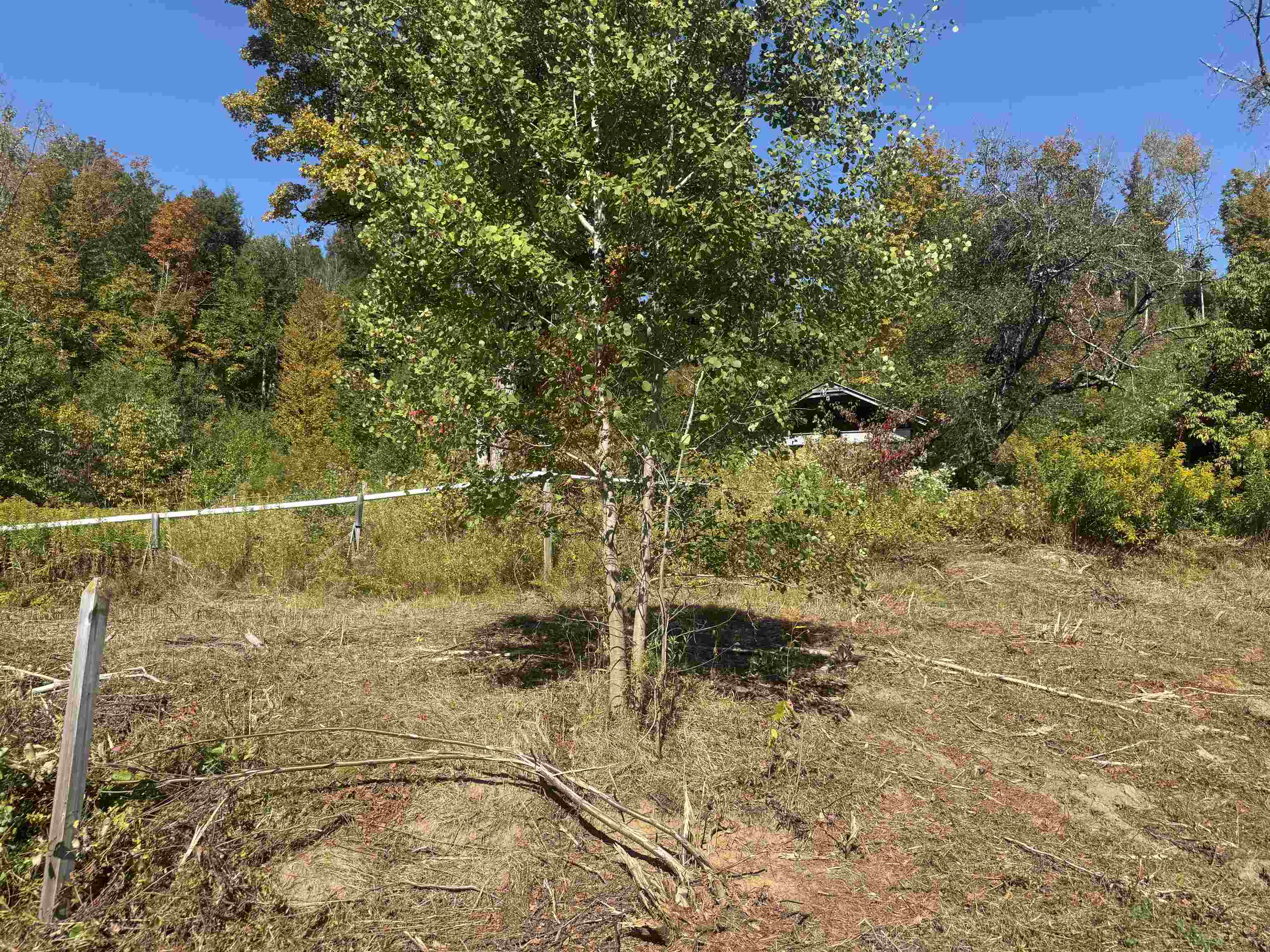 Homes for sale in Wolcott, VT | 0 Route 15, Wolcott, VT 05680 | MLS# 5049095