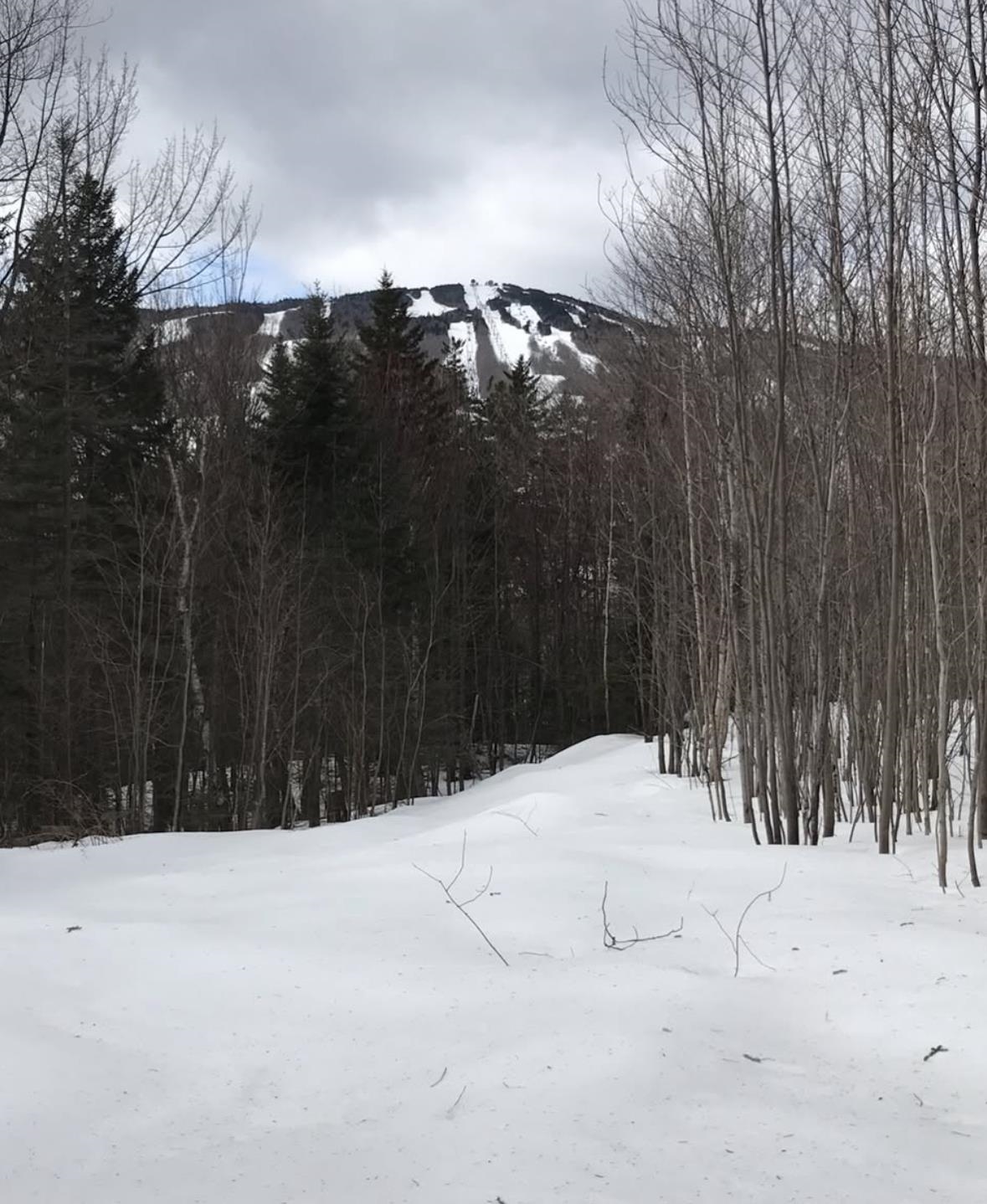 Homes for sale in Dover, VT | 1 Pinnacle View Ln, Dover, VT 05356 | MLS# 5049097