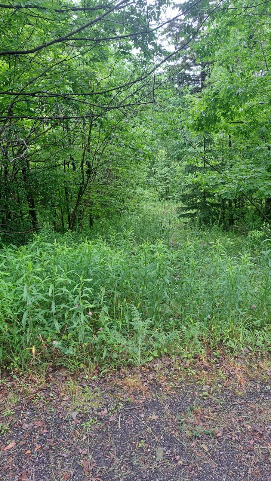 Homes for sale in Dover, VT | 1 Pinnacle View Ln, Dover, VT 05356 | MLS# 5049097