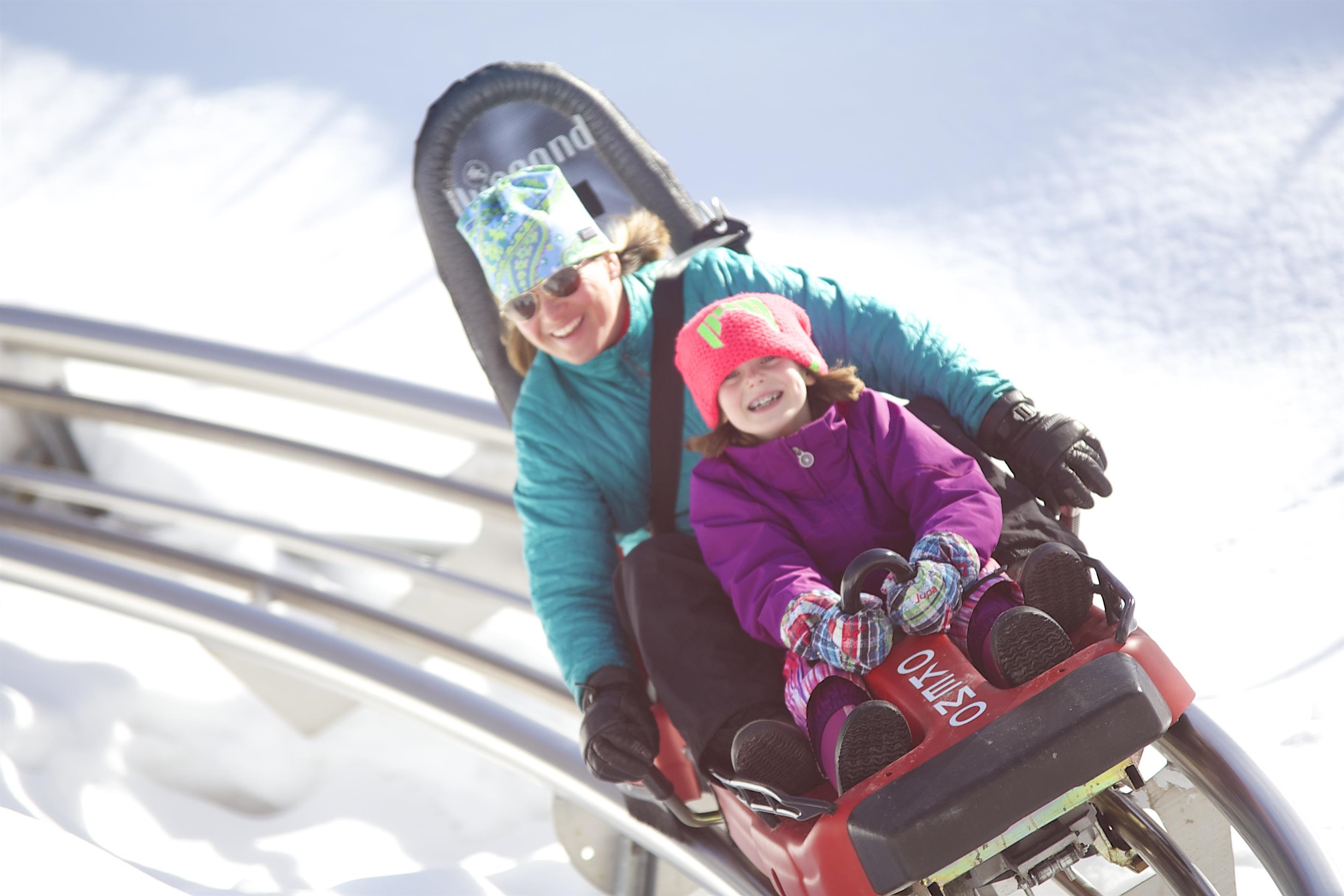 Mountain Coaster 23508156