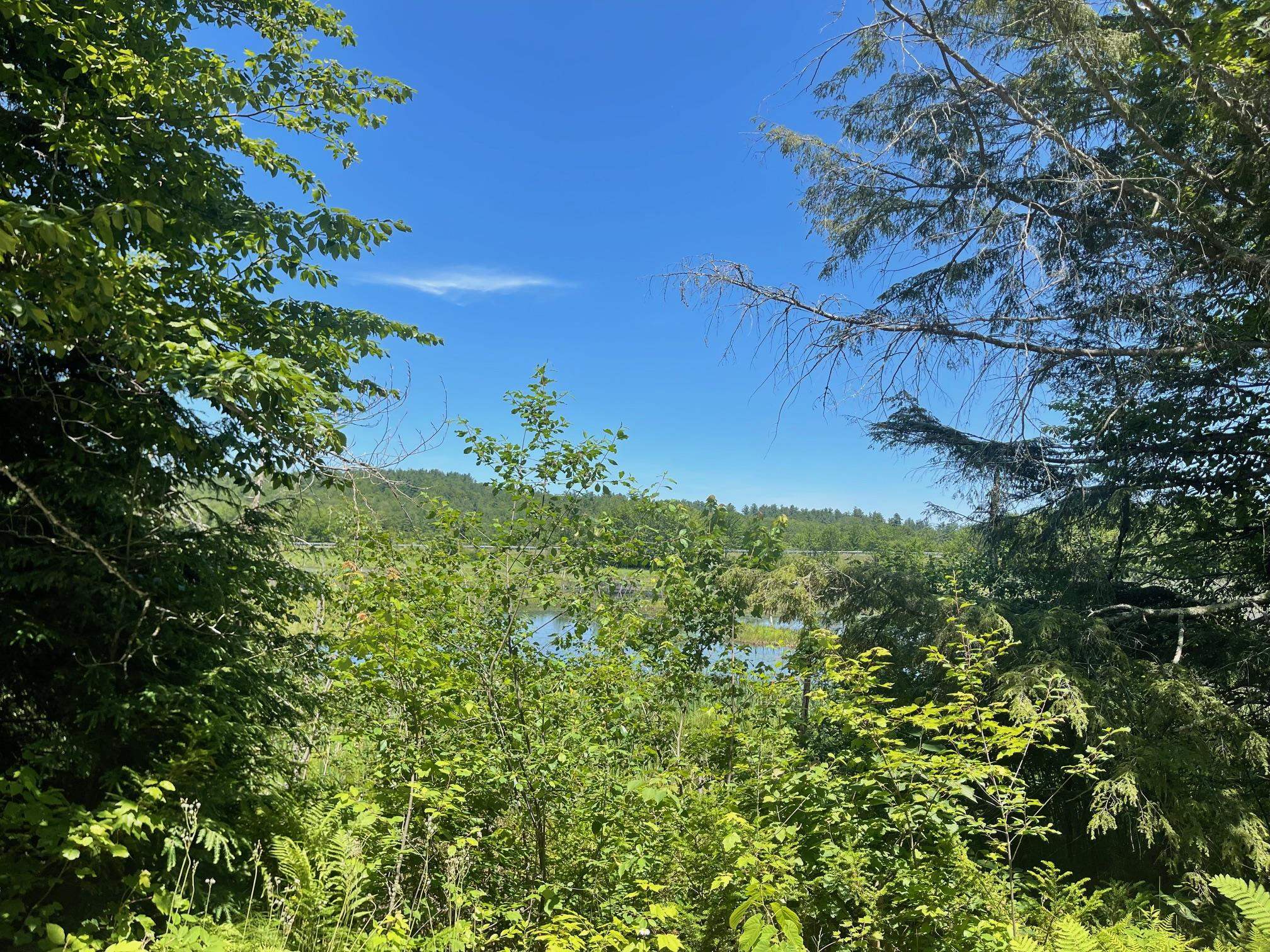 Homes for sale in Springfield, NH | Stoney Brook Rd, Springfield, NH 03284 | MLS# 5049197