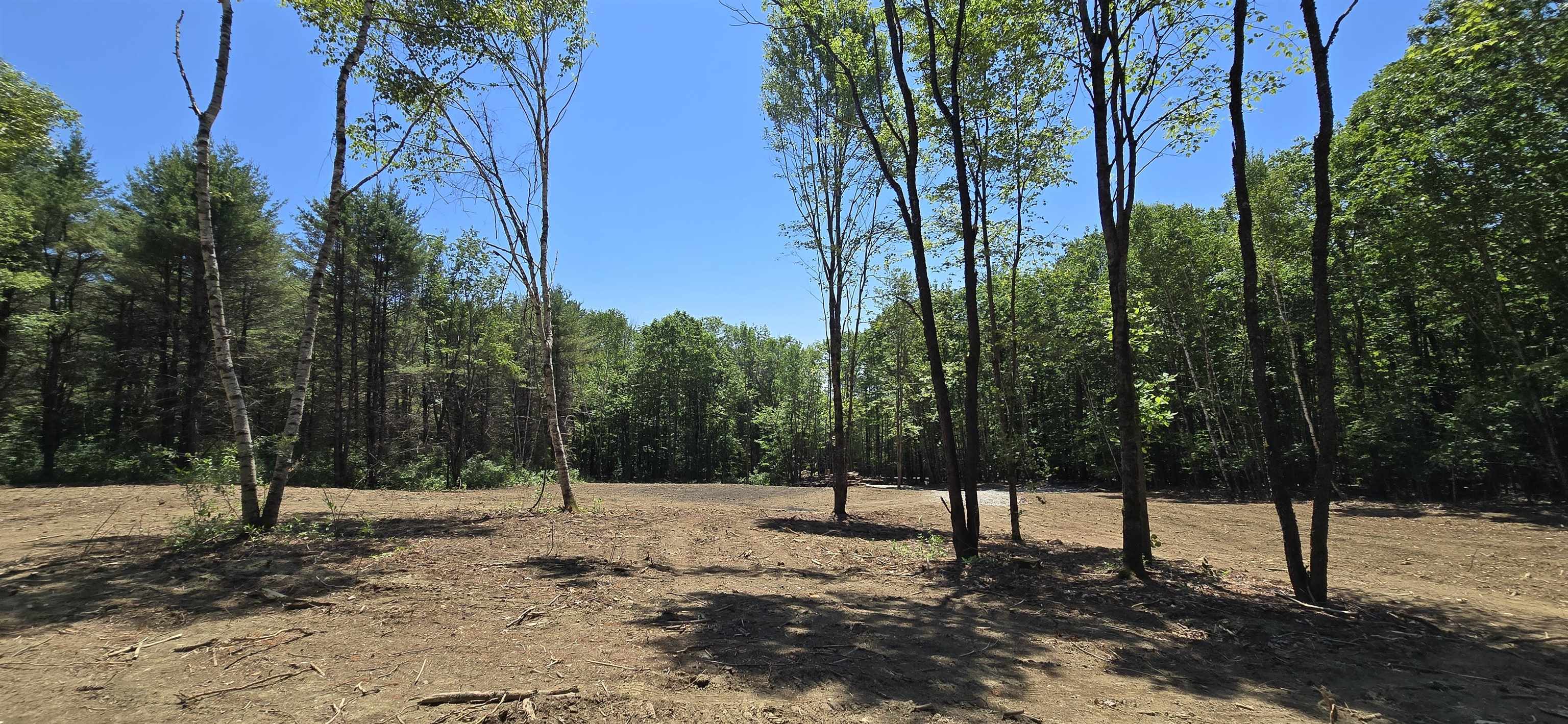 MLS #5049204 image #6