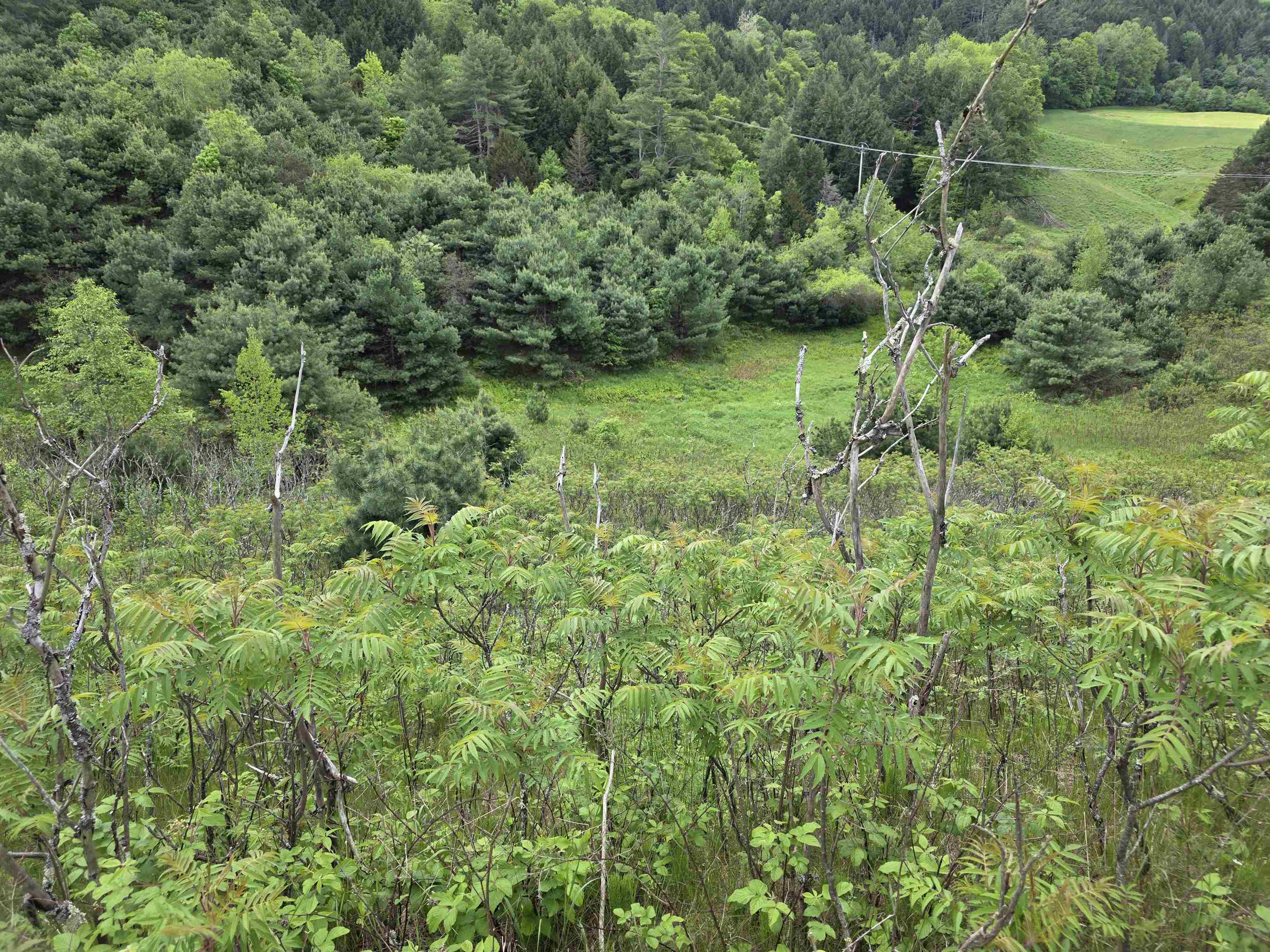 Homes for sale in Randolph, VT | Vt 14 South Rte, Randolph, VT 05060 | MLS# 5049250