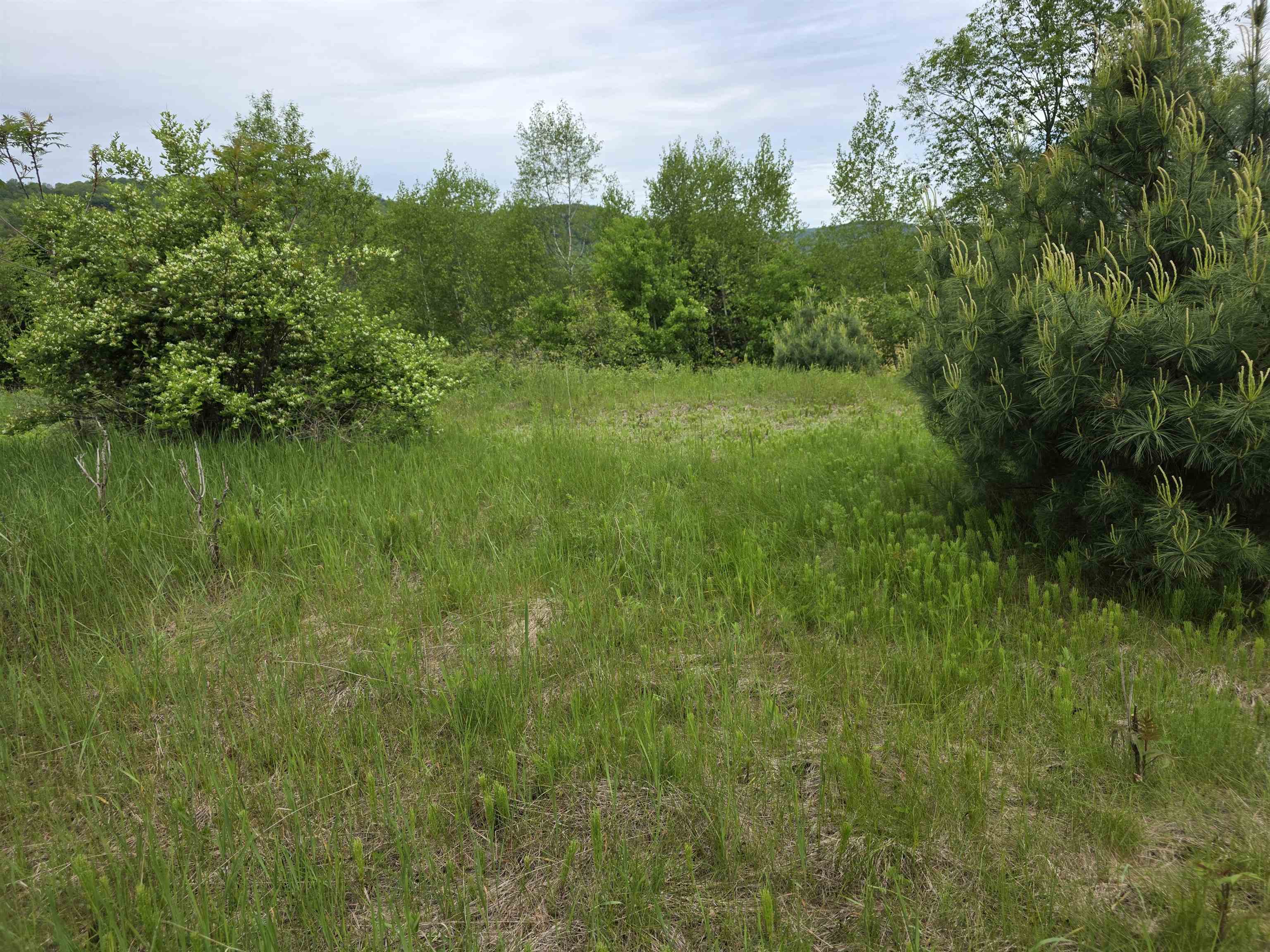 Homes for sale in Randolph, VT | Vt 14 South Rte, Randolph, VT 05060 | MLS# 5049250