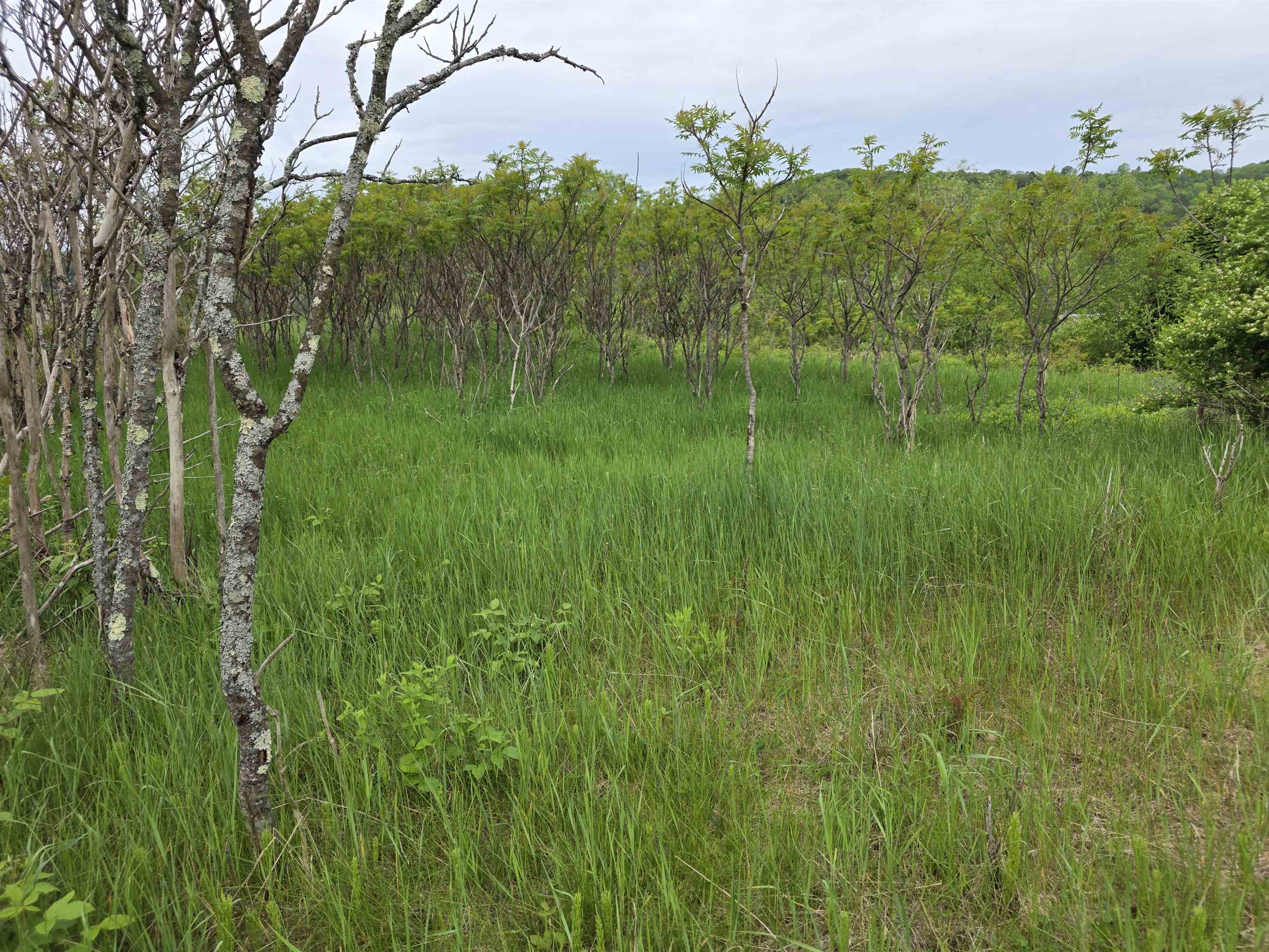 Homes for sale in Randolph, VT | Vt 14 South Rte, Randolph, VT 05060 | MLS# 5049250