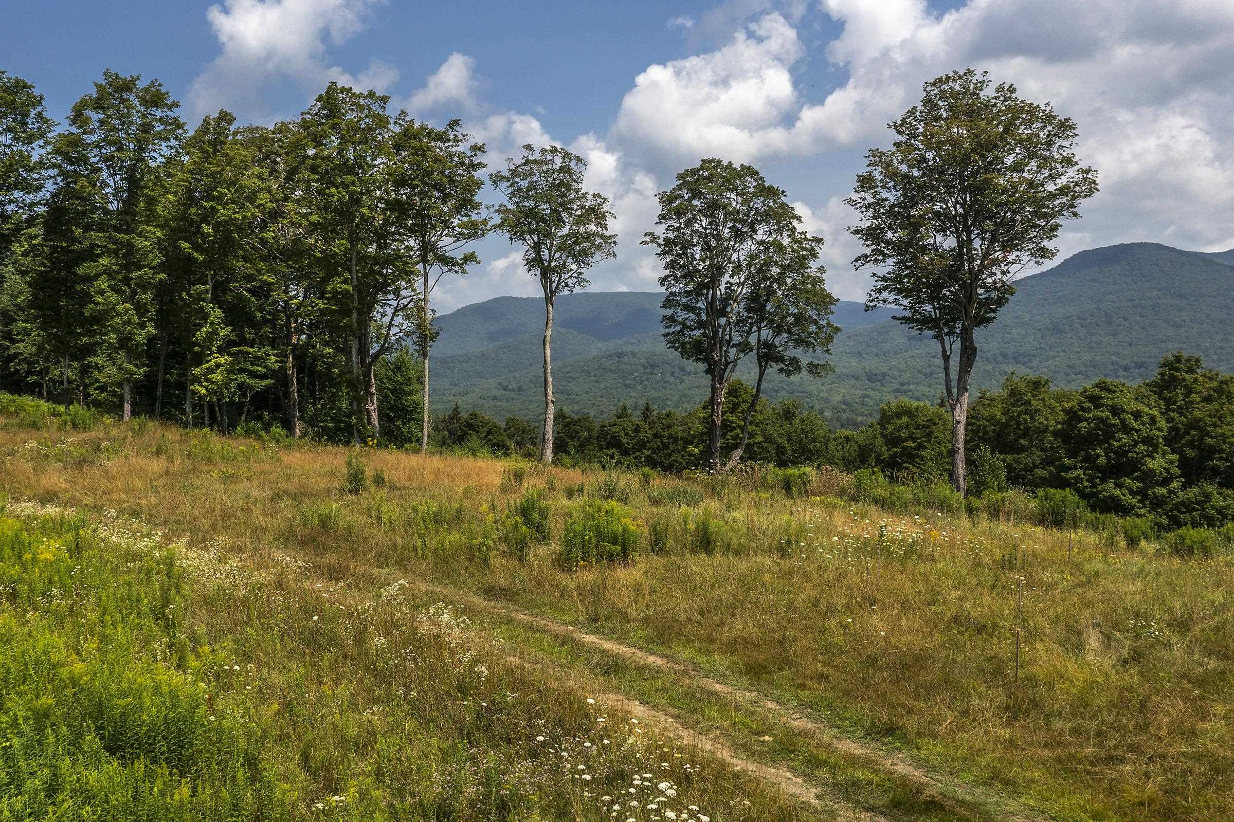 Homes for sale in Dorset, VT | 500 Nims Rd, Dorset, VT 05251 | MLS# 5049329