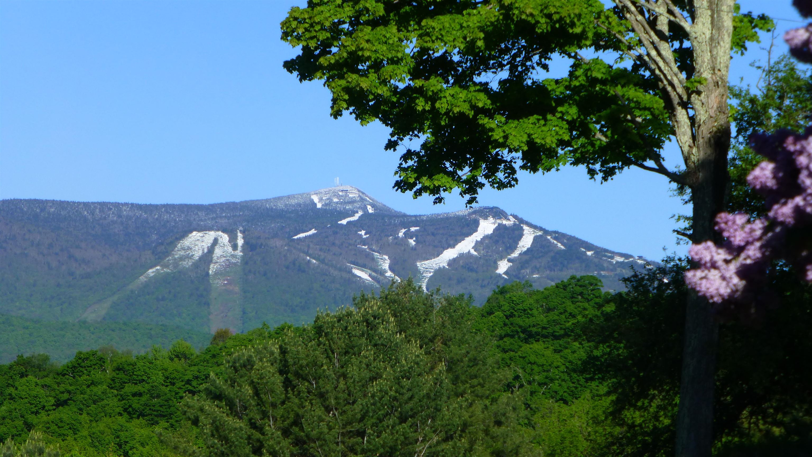 MLS #5049332 image #16