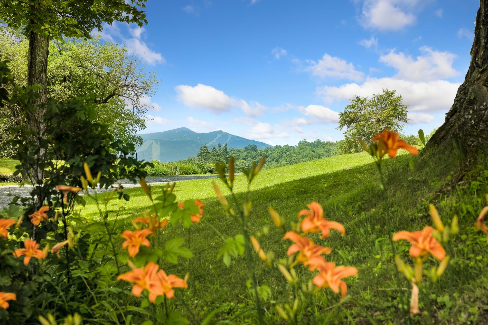 MLS #5049332 image #9