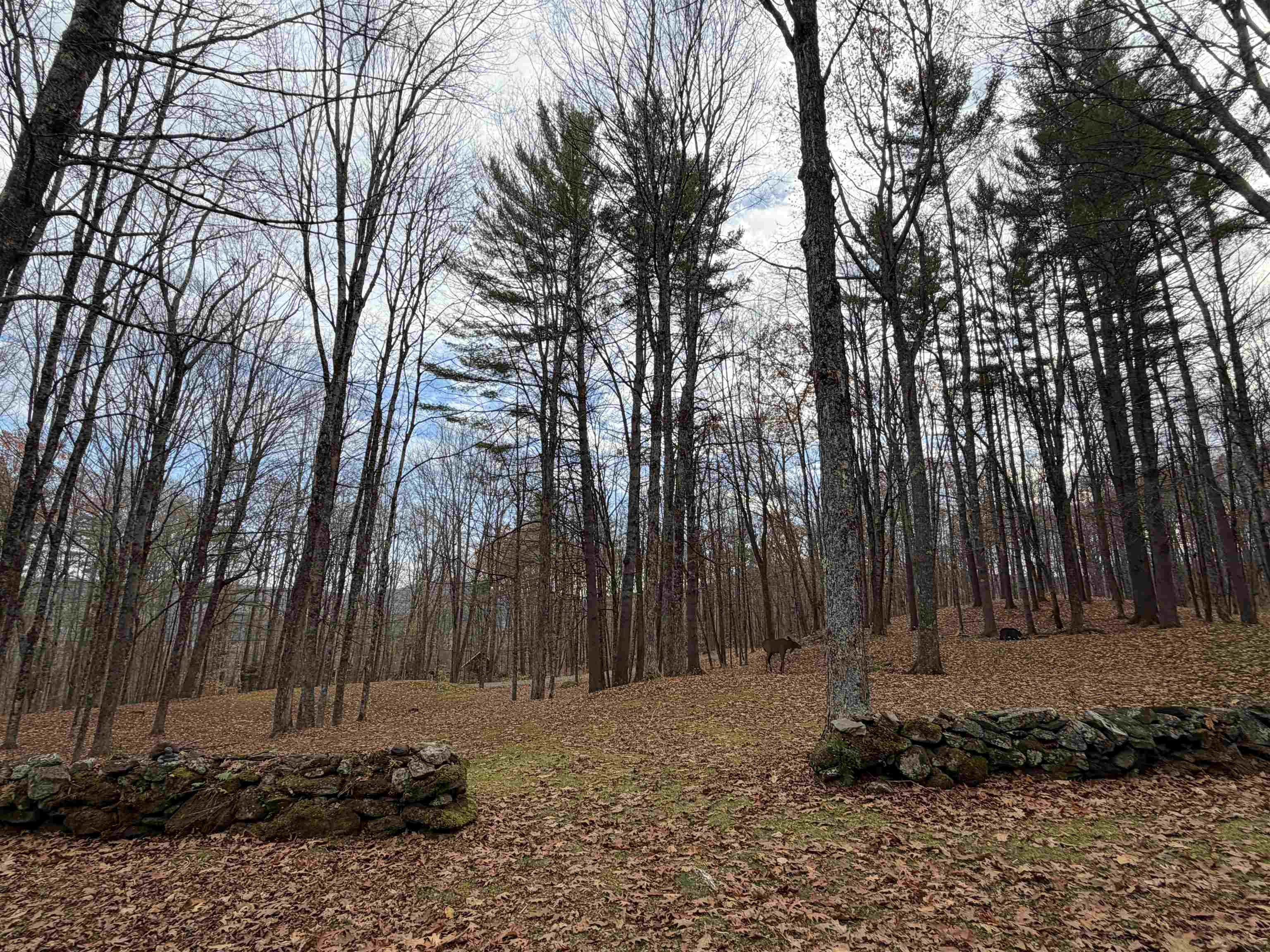 Homes for sale in Woodstock, VT | 72 Oak Ridge Way, Woodstock, VT 05091 | MLS# 5049347