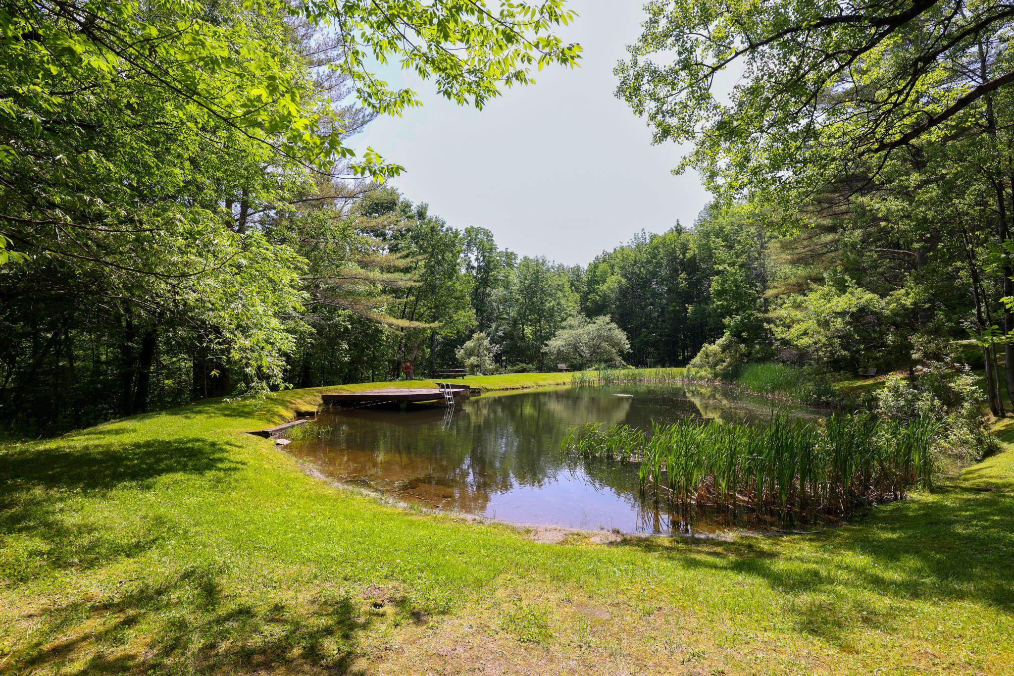 Homes for sale in Pittsfield, VT | Lot 50 Hawk Mountain Rd, Pittsfield, VT 05762 | MLS# 5049394