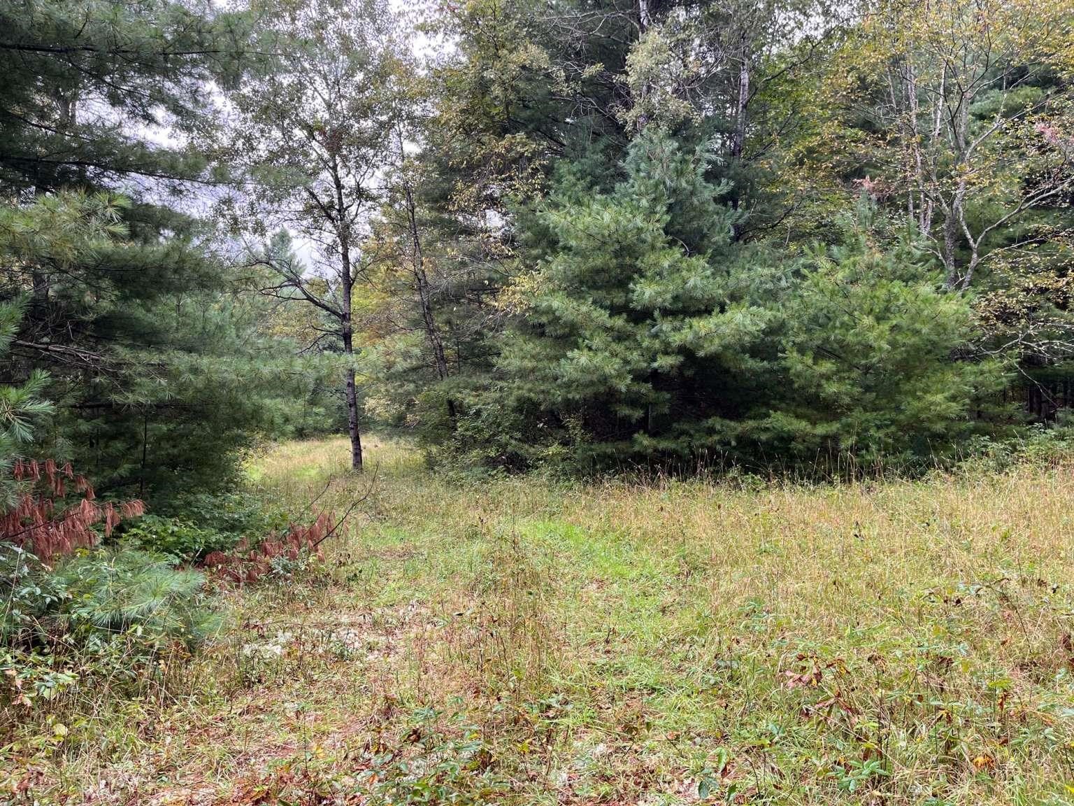 Homes for sale in East Montpelier, VT | 0 East Hill Rd, East Montpelier, VT 05651 | MLS# 5049416