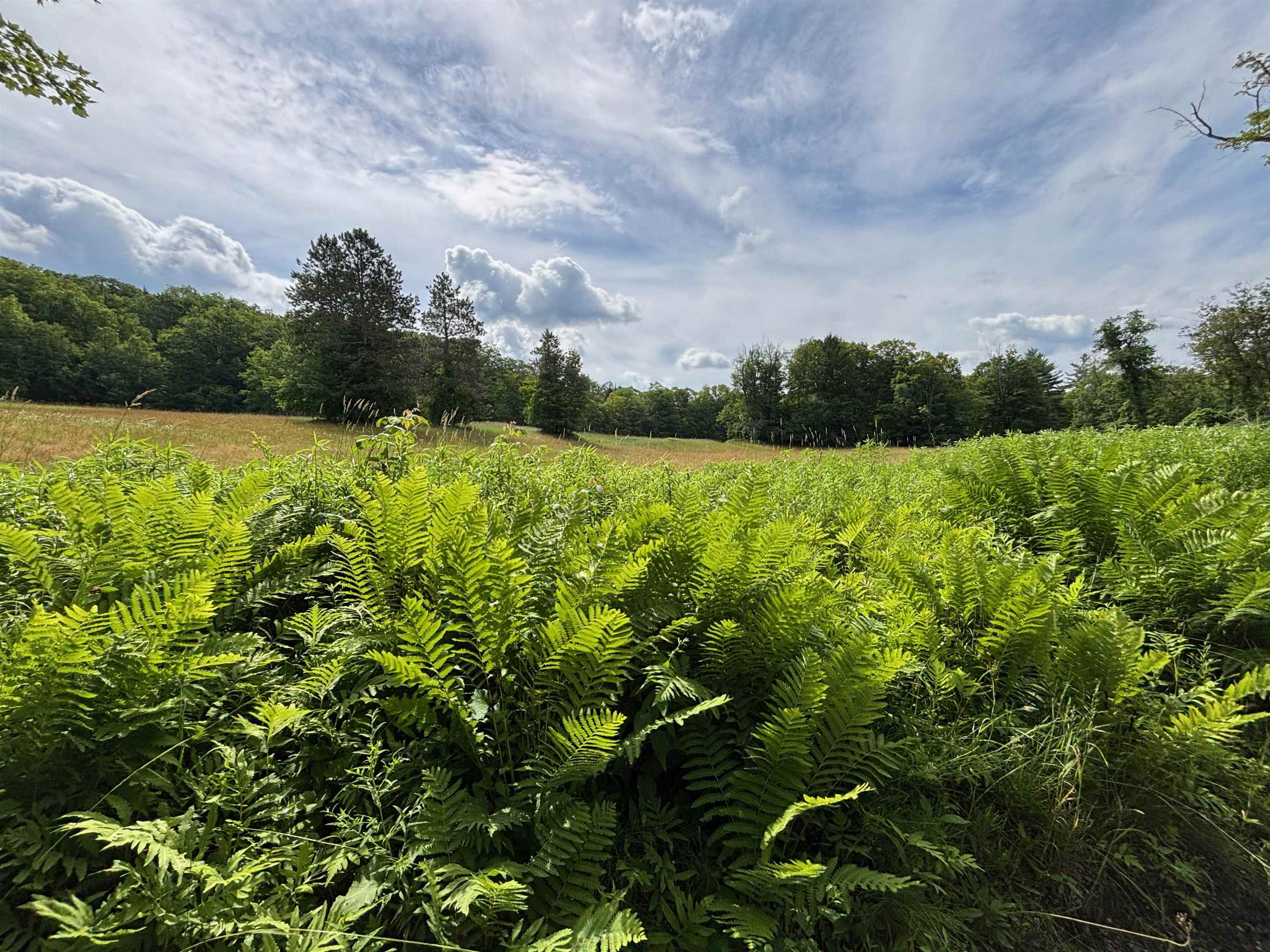 Homes for sale in Guilford, VT | 2745 Bonnyvale Rd, Guilford, VT 05301 | MLS# 5049450