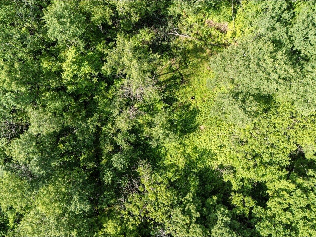 Homes for sale in Charlotte, VT | Lot 4 Homestead Dr, Charlotte, VT 05445 | MLS# 5049603