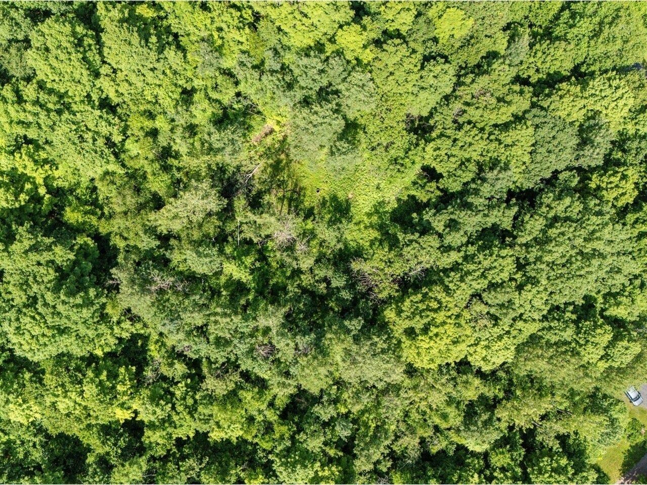 Homes for sale in Charlotte, VT | Lot 4 Homestead Dr, Charlotte, VT 05445 | MLS# 5049603