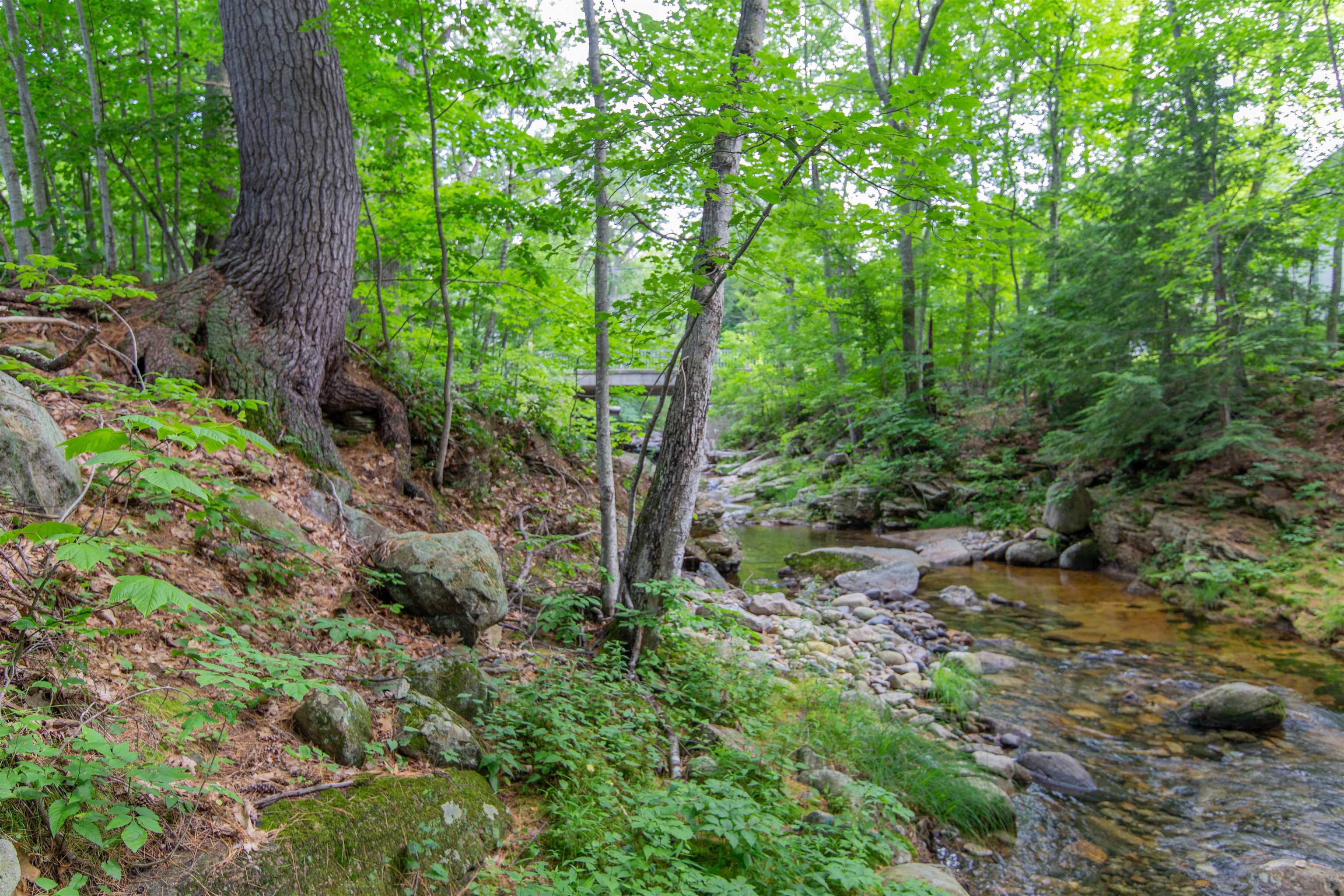 MLS #5049622 image #11