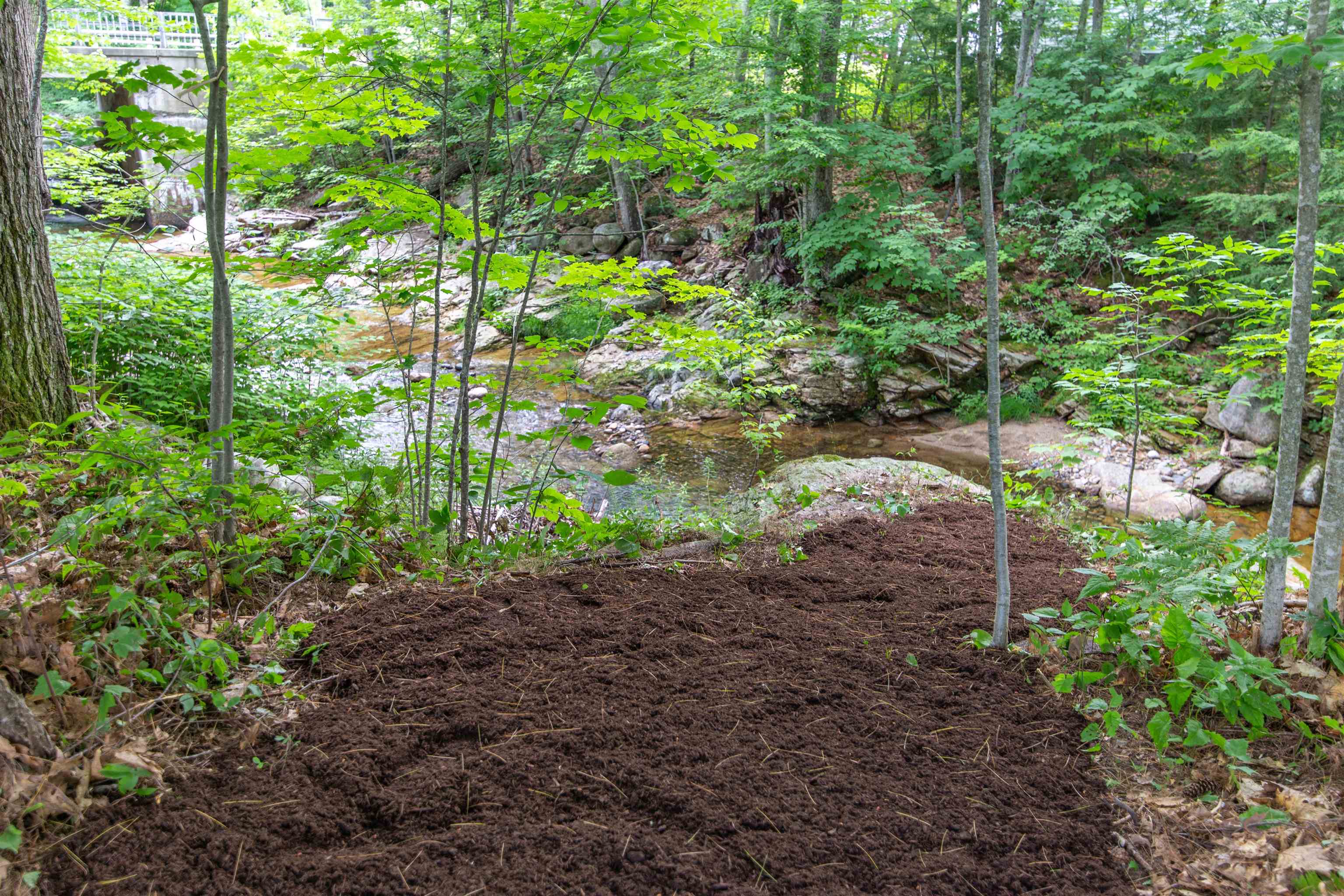 MLS #5049622 image #8