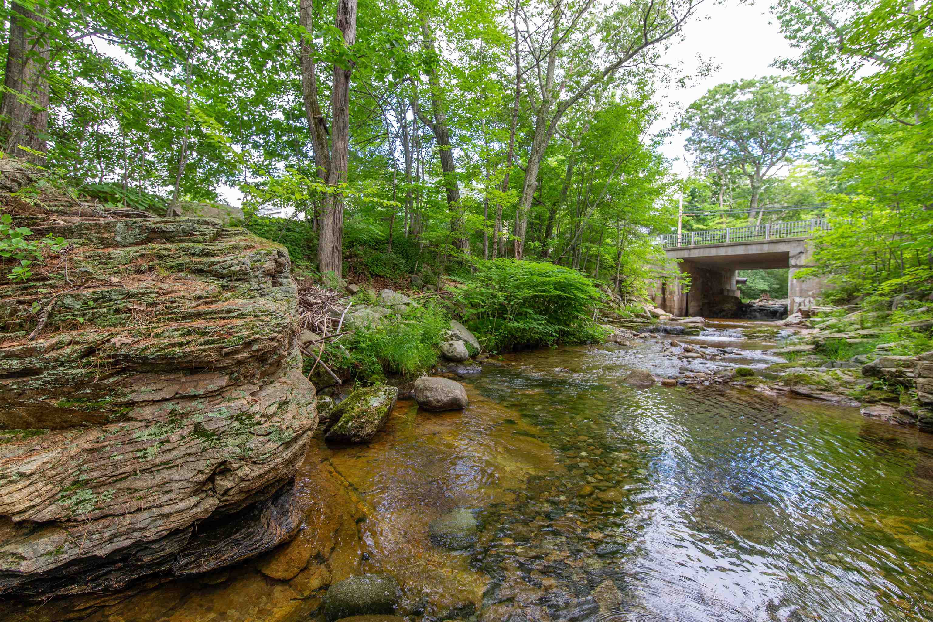 MLS #5049622 image #9