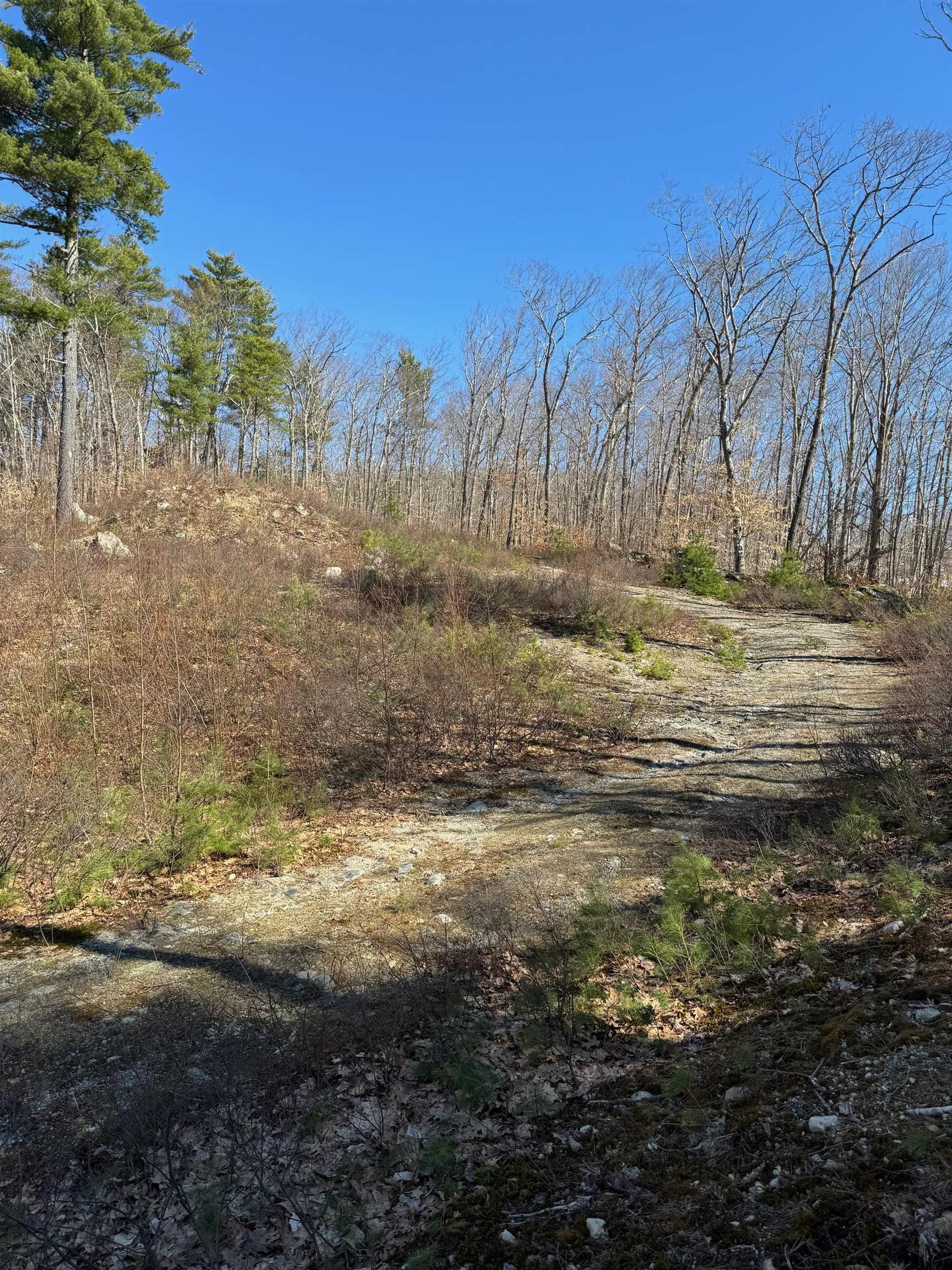 MLS #5049637 image #10