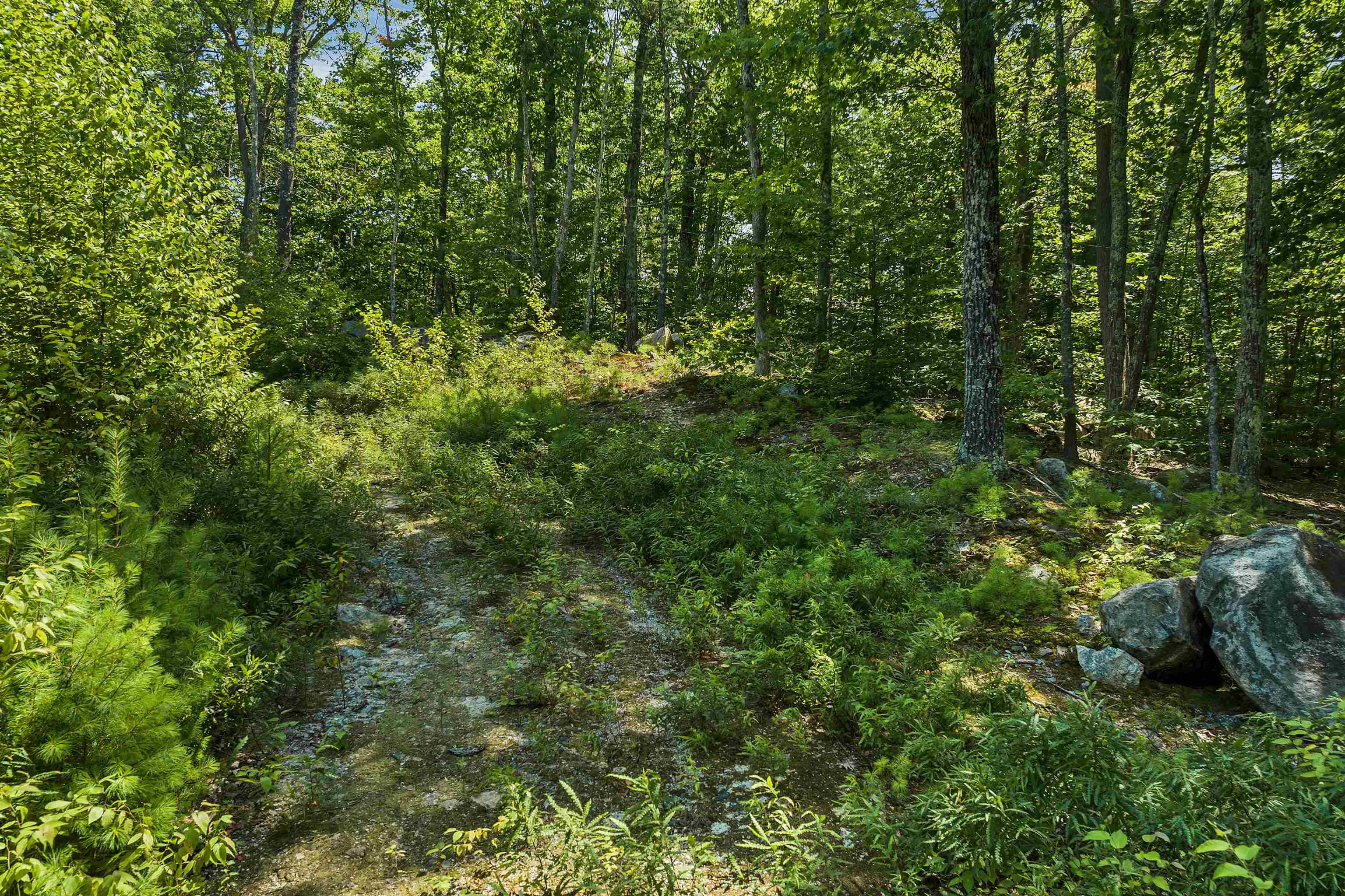 MLS #5049637 image #18