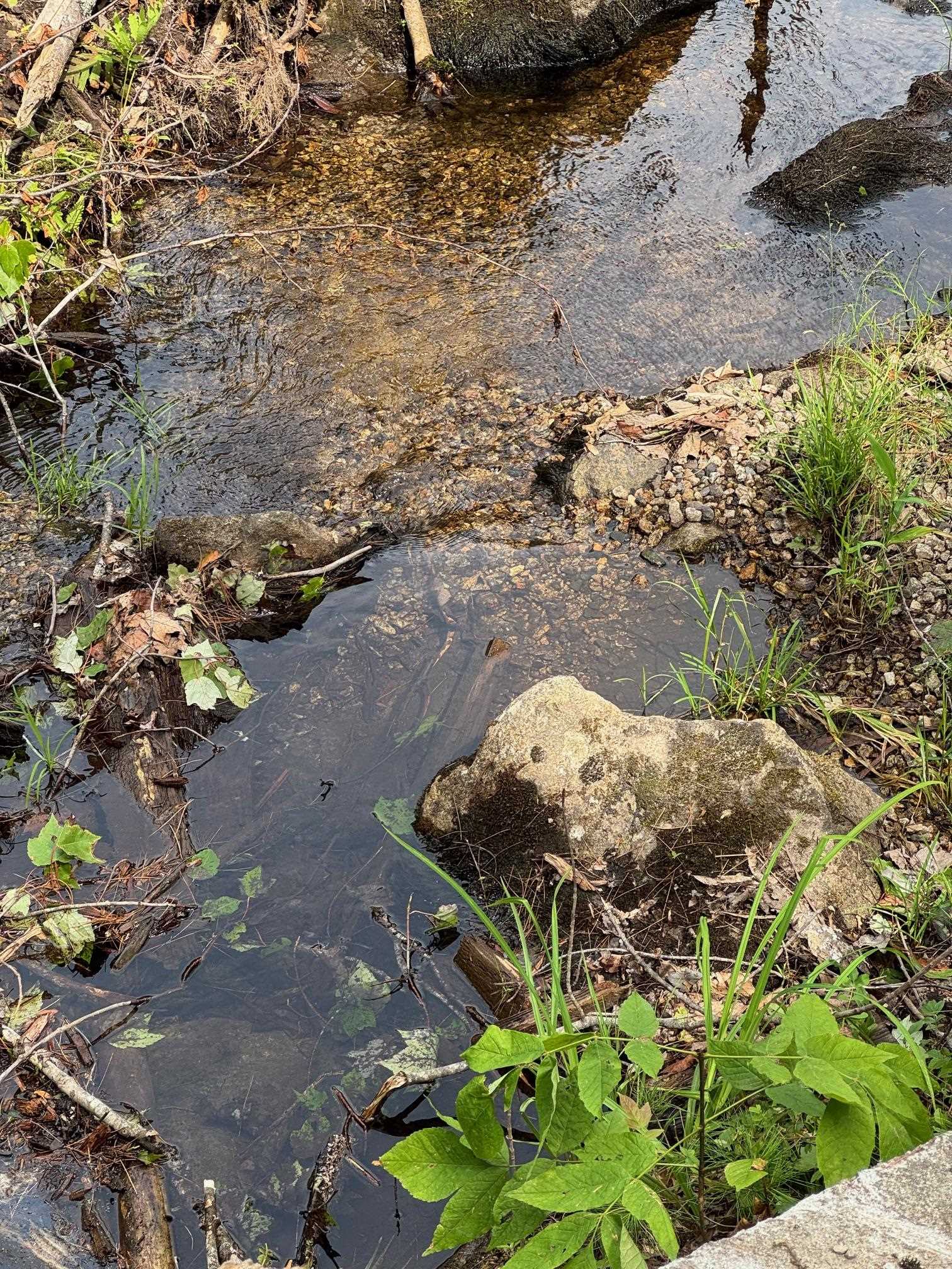 Homes for sale in Alton, NH | 409 Powder Mill Rd, Alton, NH 03809 | MLS# 5049637