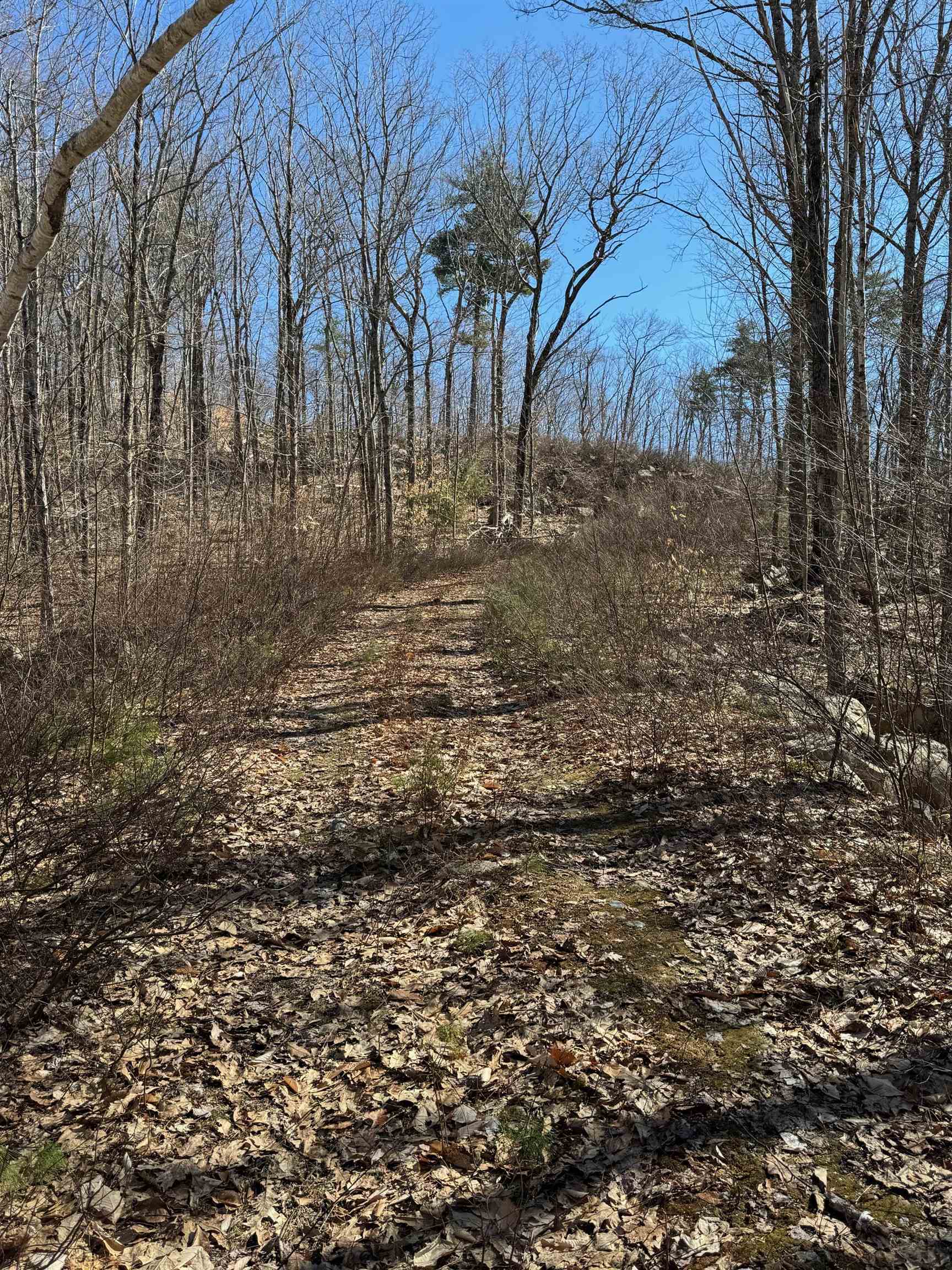 Homes for sale in Alton, NH | 409 Powder Mill Rd, Alton, NH 03809 | MLS# 5049637