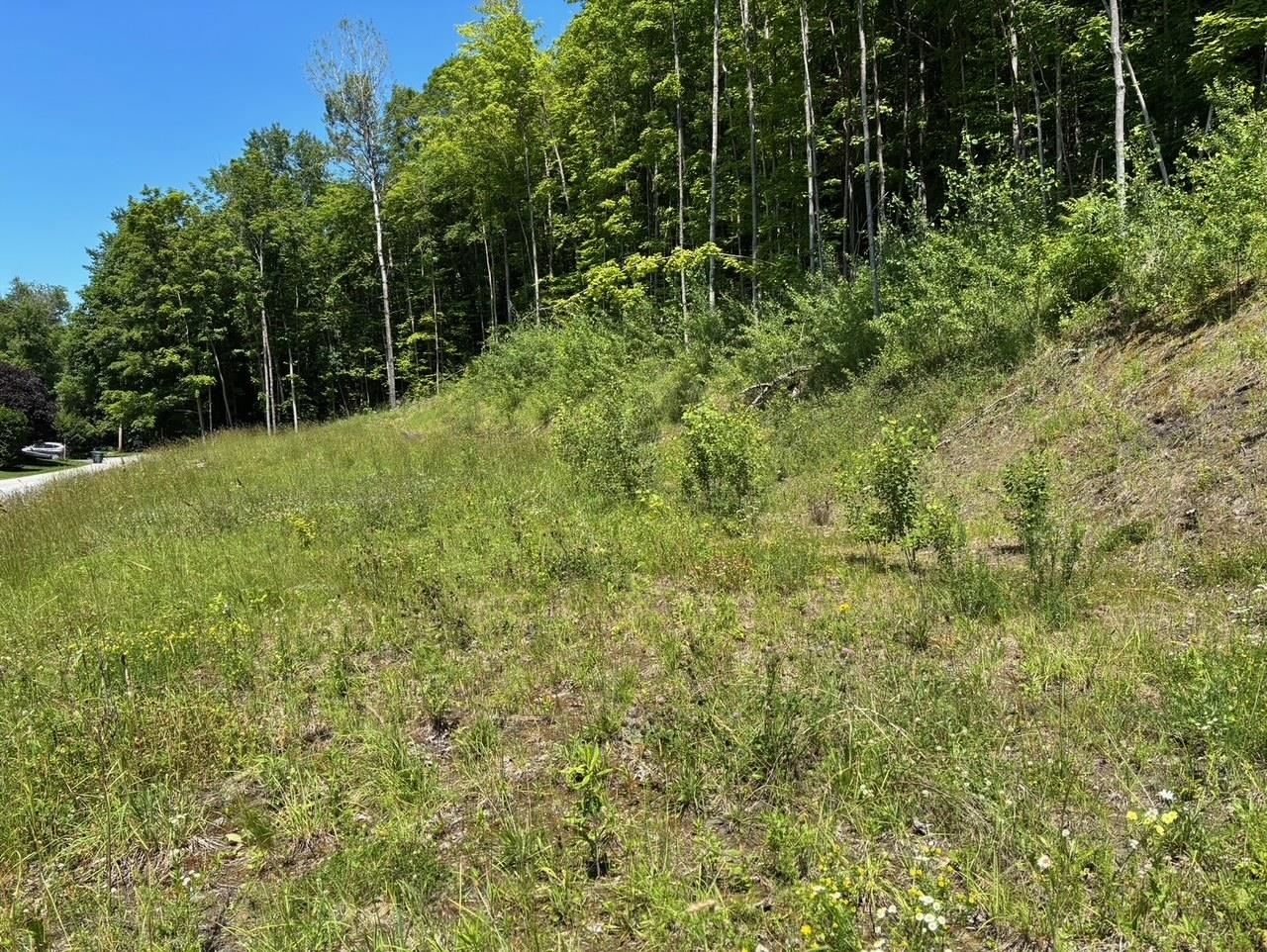 Homes for sale in Barre City, VT | 0 Maplewood Ave, Barre City, VT 05641 | MLS# 5049681