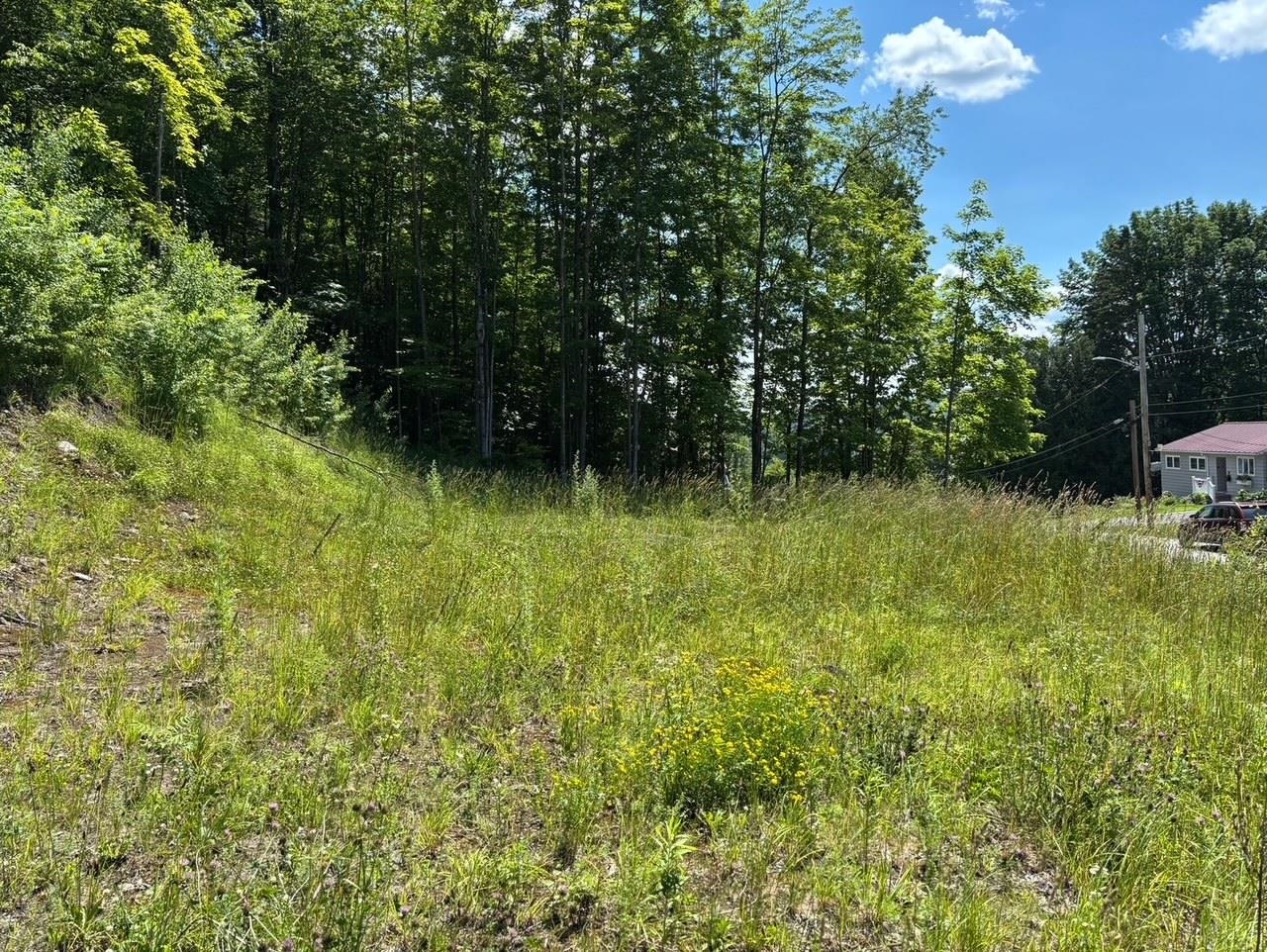 Homes for sale in Barre City, VT | 0 Maplewood Ave, Barre City, VT 05641 | MLS# 5049681