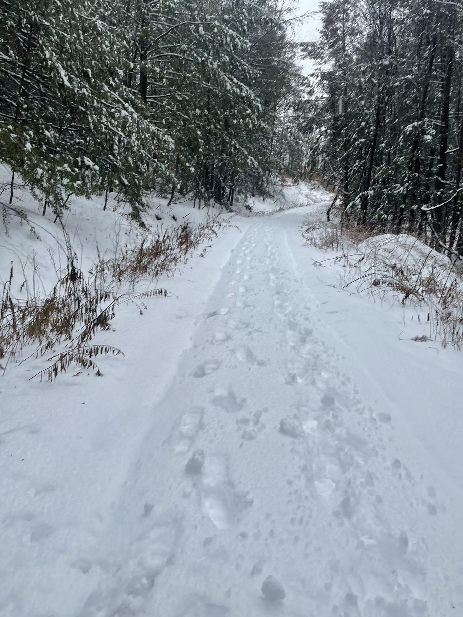 Homes for sale in Guilford, VT | 1270 Melendy Hill Rd, Guilford, VT 05301 | MLS# 5049686