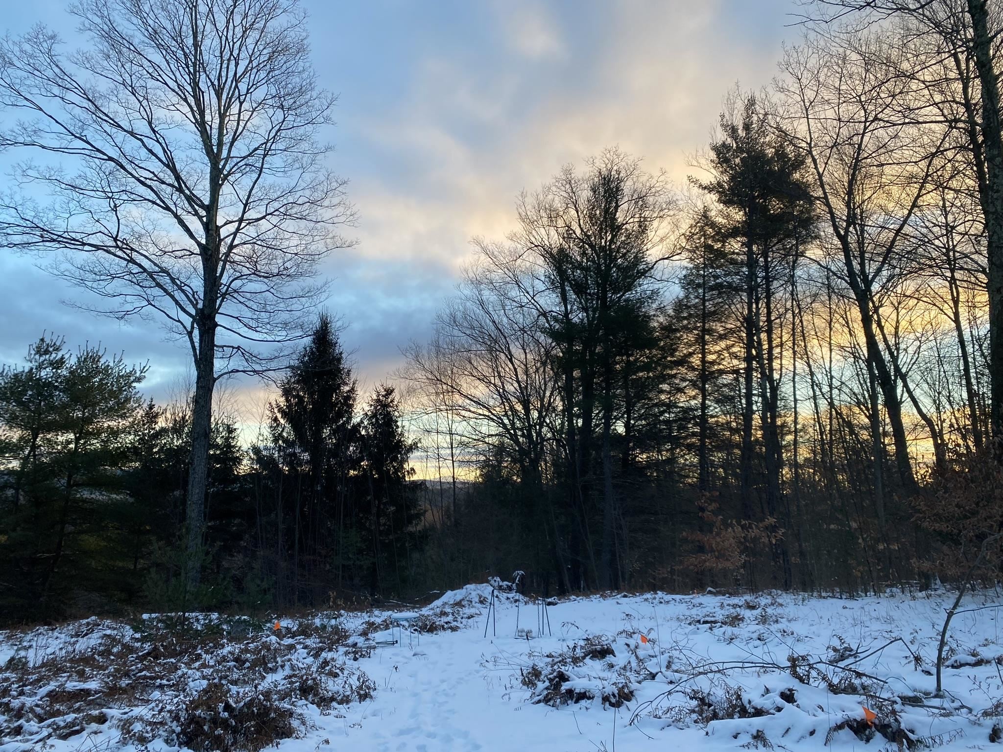 Homes for sale in Guilford, VT | 1270 Melendy Hill Rd, Guilford, VT 05301 | MLS# 5049686