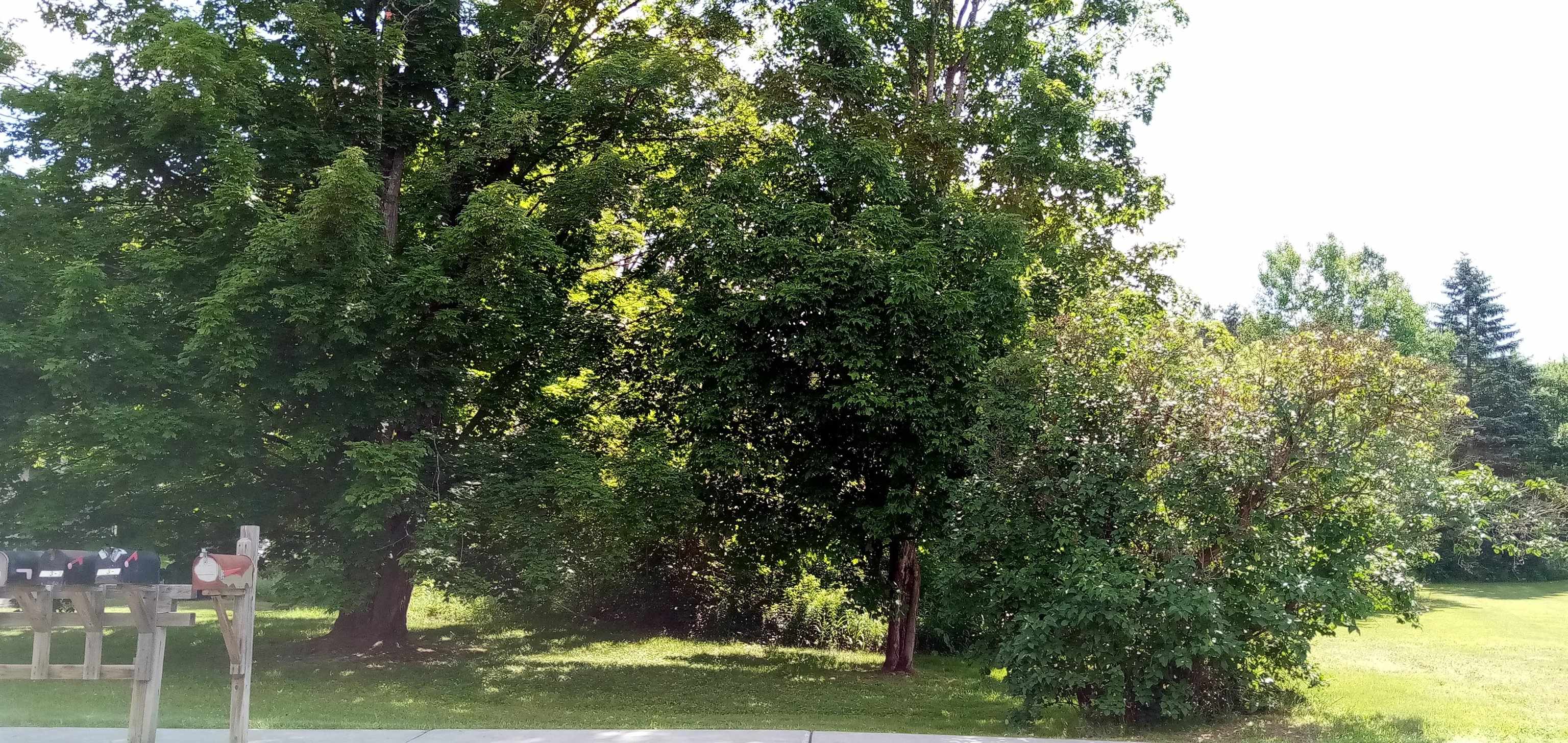 Homes for sale in Morristown, VT | 373 Congress St, Morristown, VT 05661 | MLS# 5049715