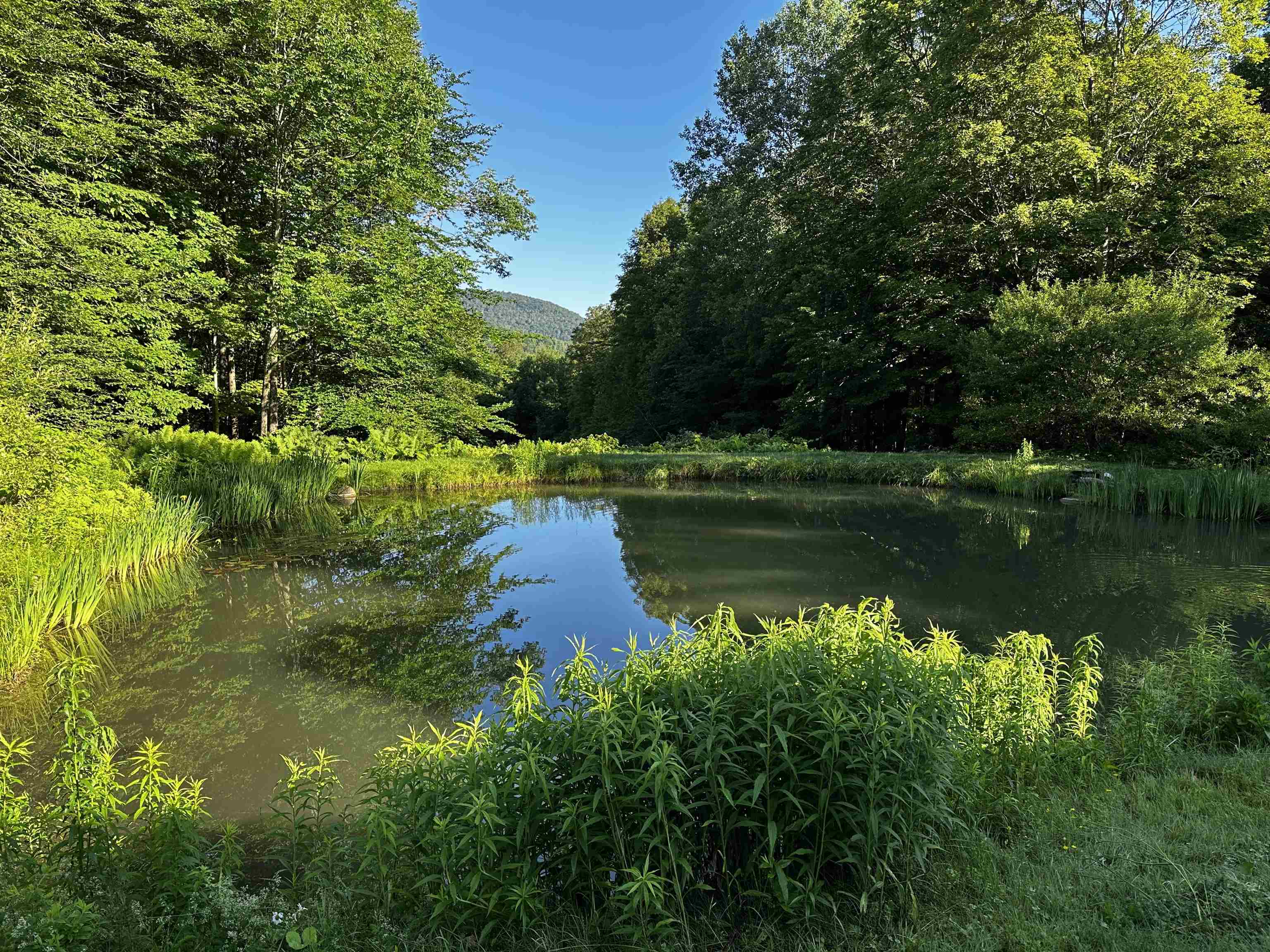 Homes for sale in Dorset, VT | 397 Fern Hl, Dorset, VT 05251 | MLS# 5049720